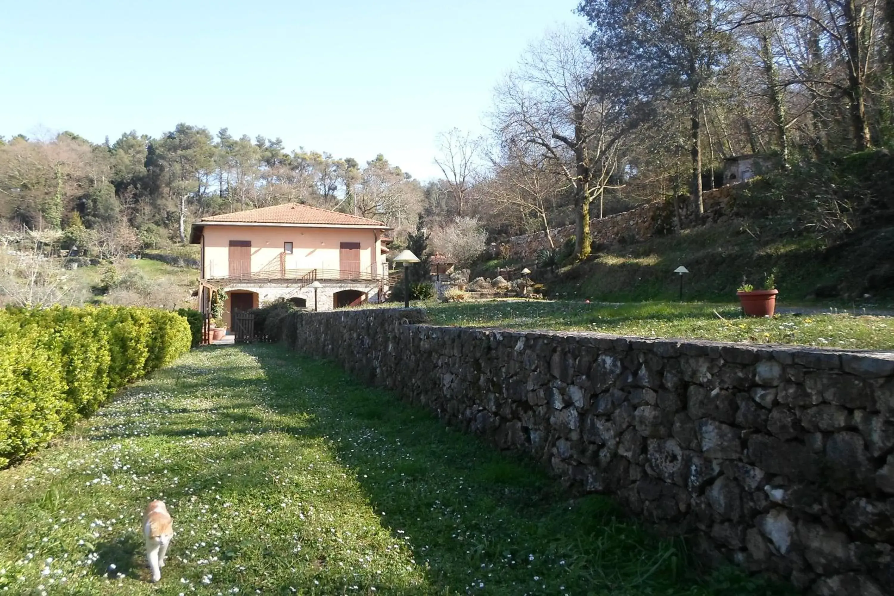 I Lecci I Lecci