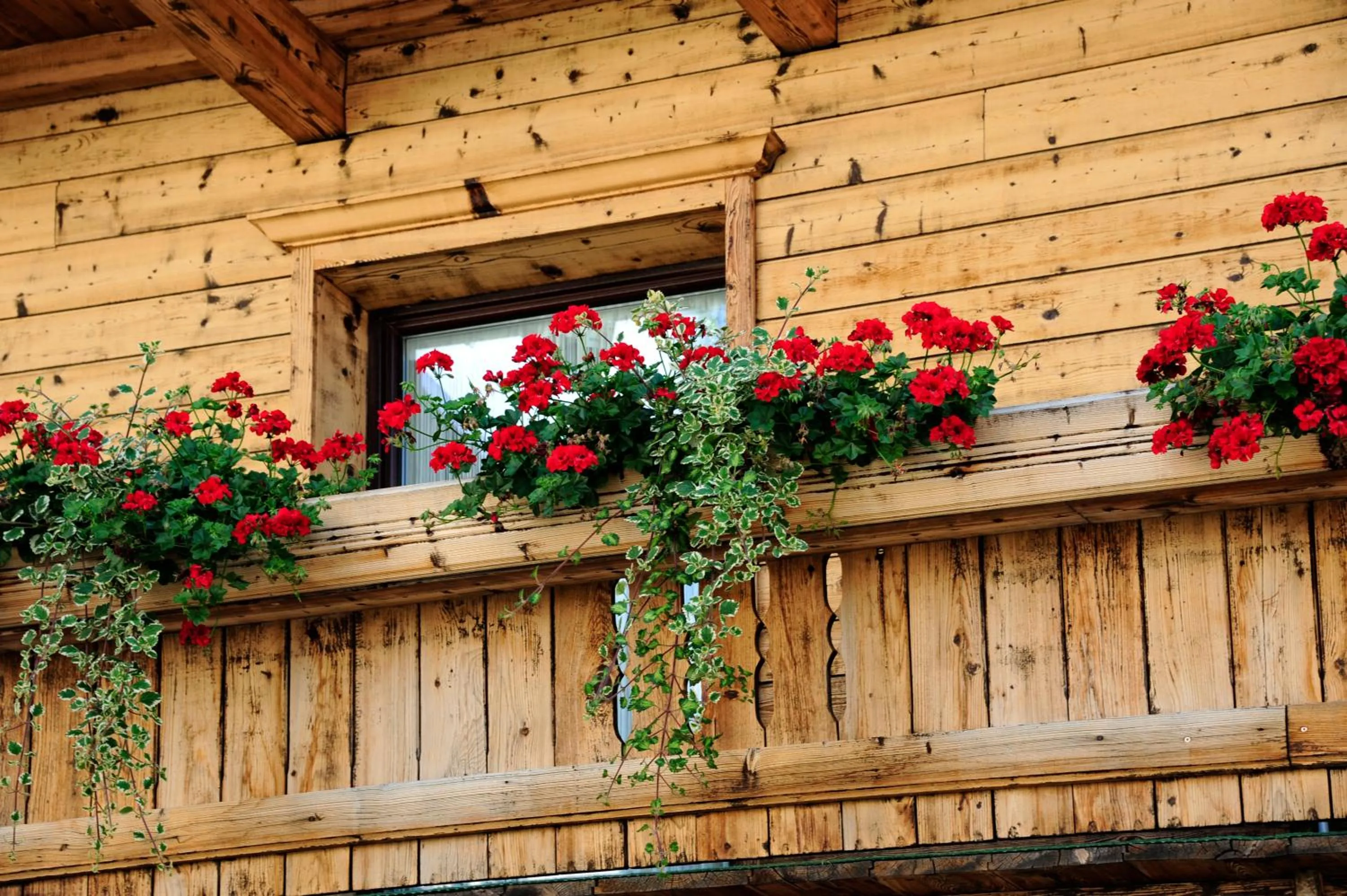 Property building in Hotel Traube