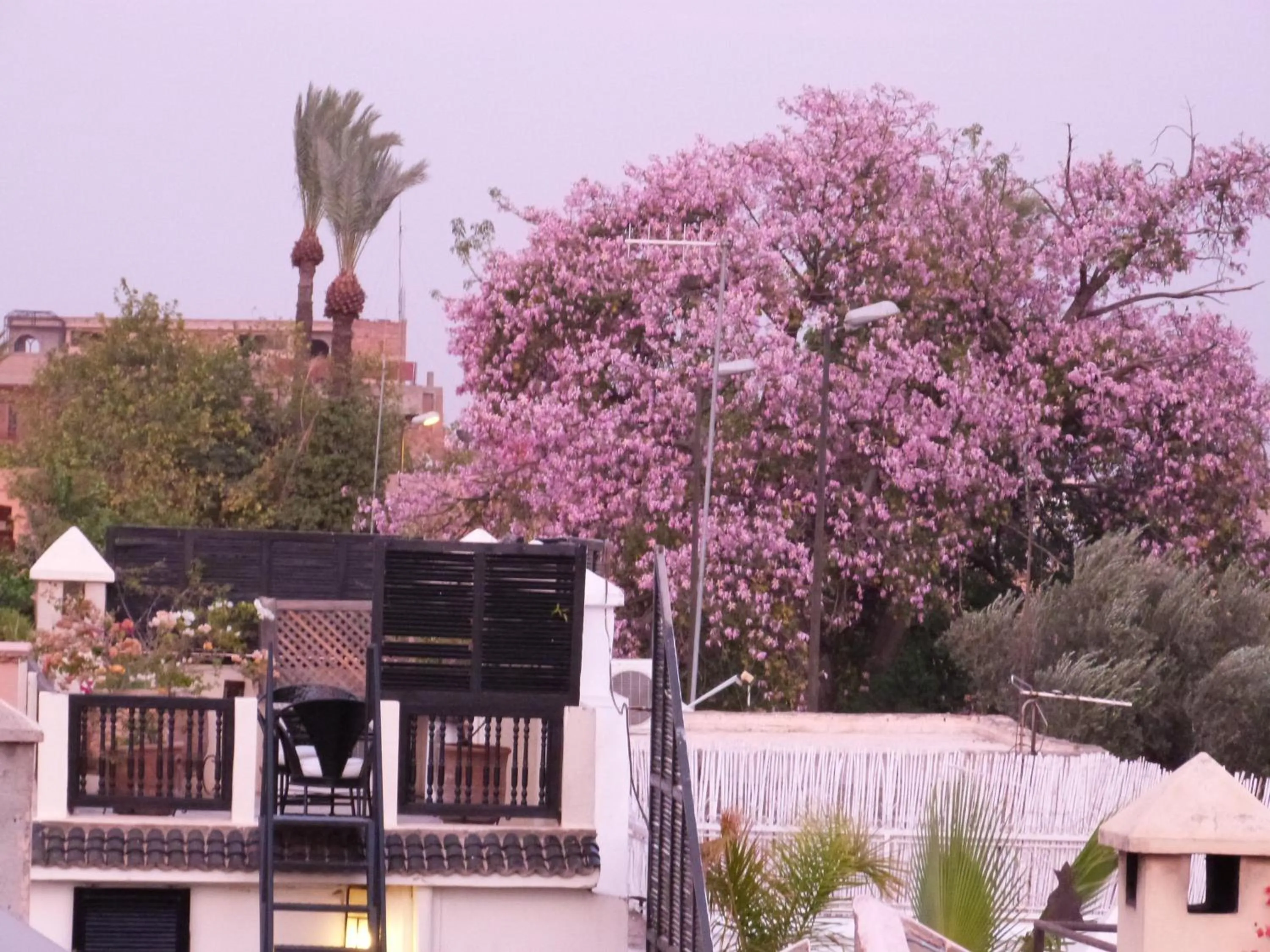 Facade/entrance in Riad Manissa