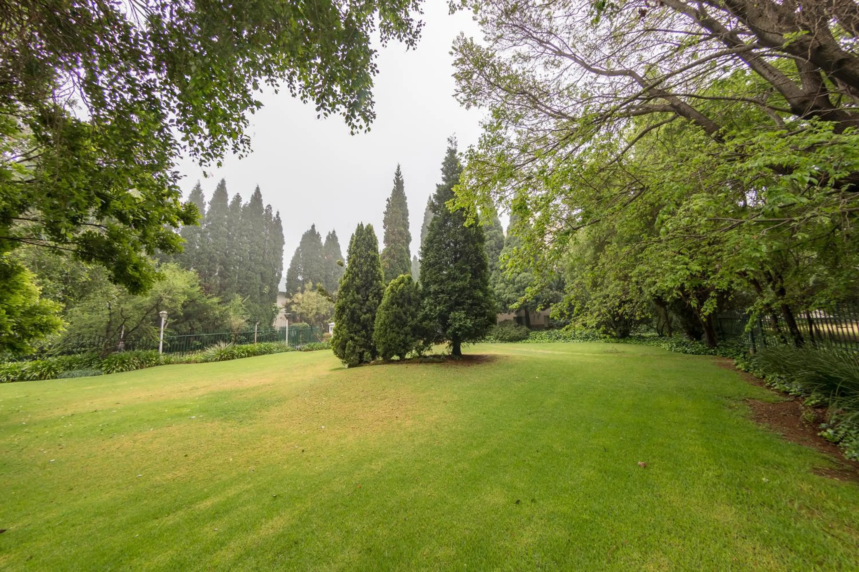 Spring in Road Lodge JNB Airport