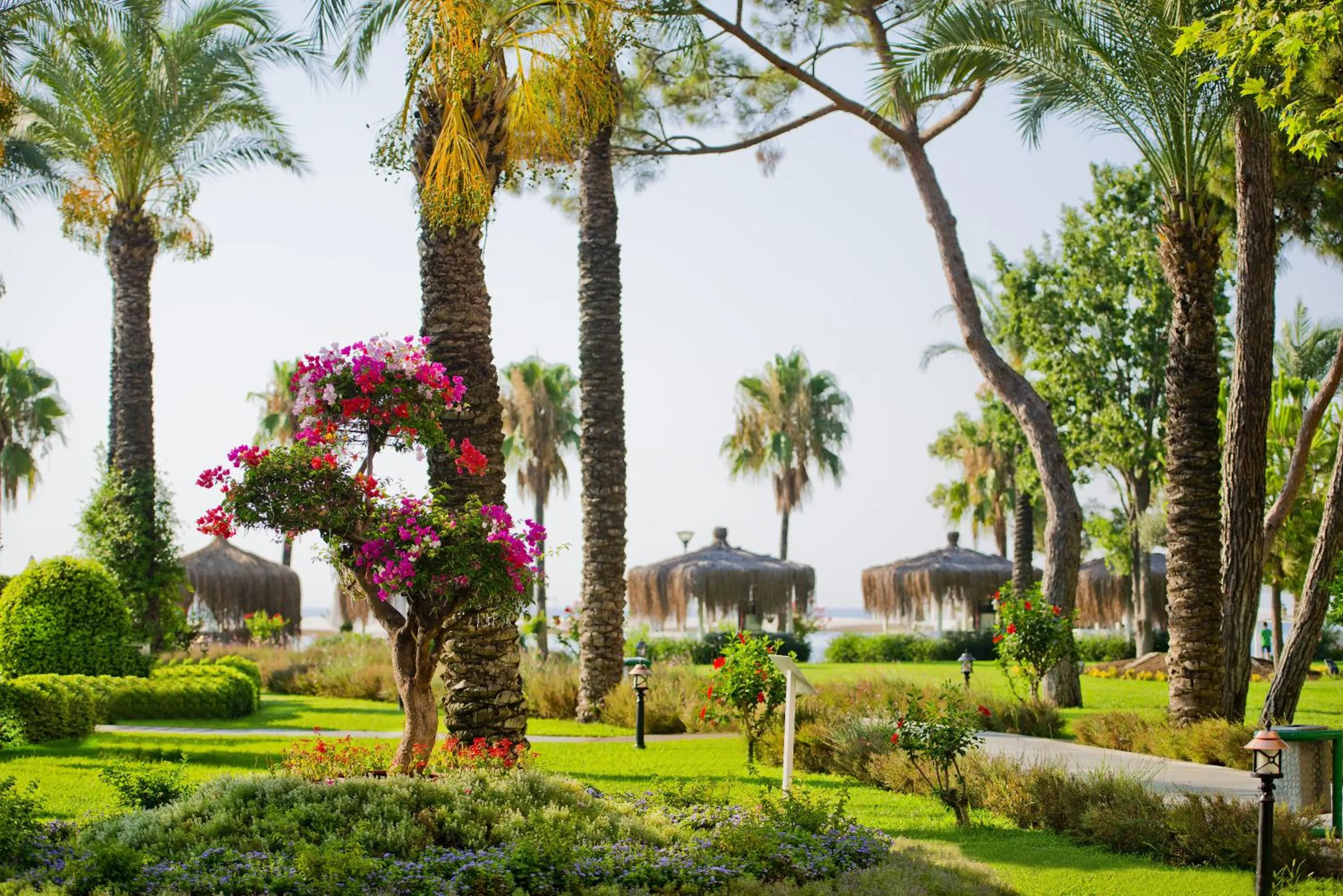 Day in Mirada Del Mar Hotel - Ultra All Inclusive