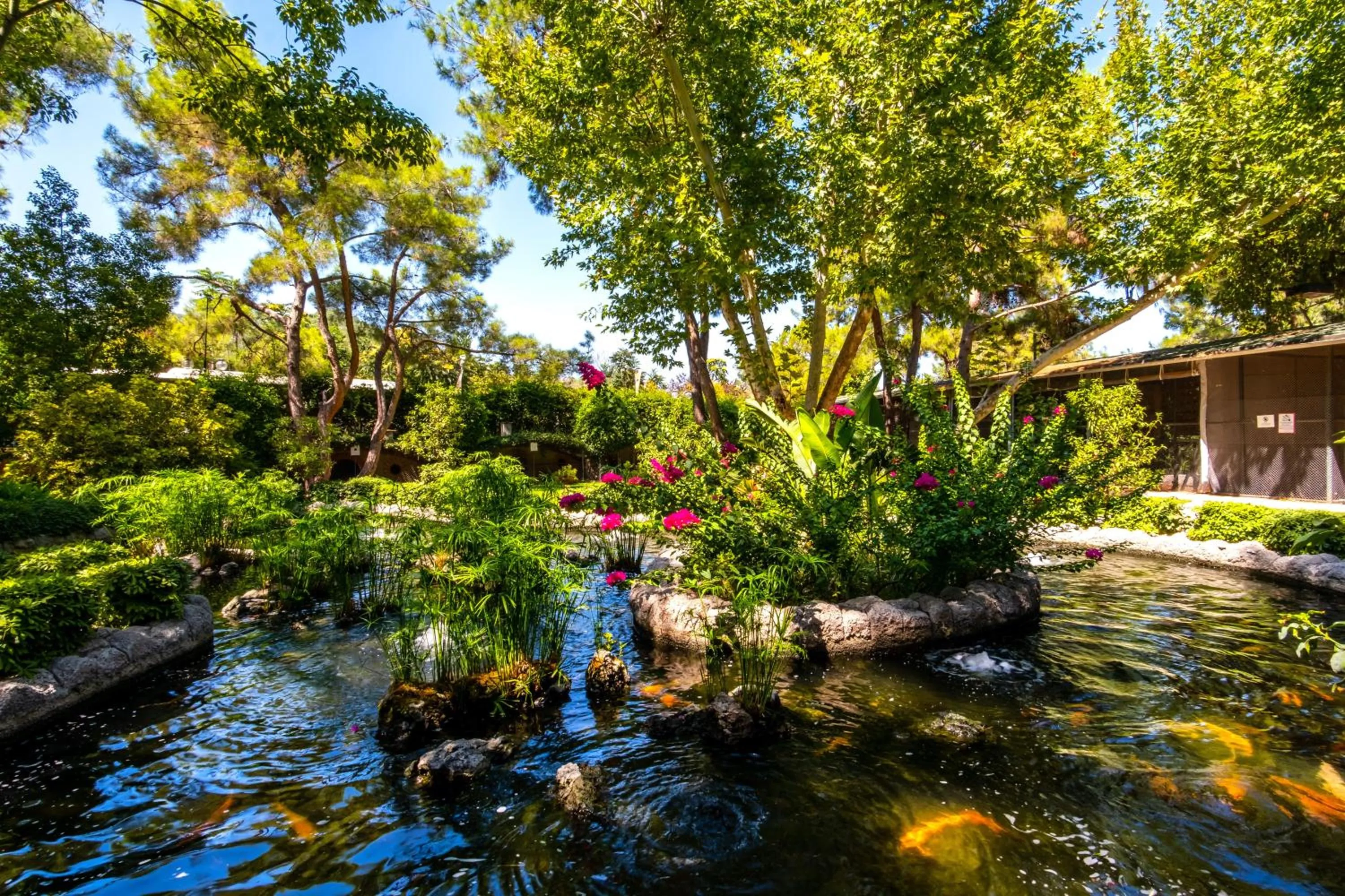 Natural landscape in Mirada Del Mar Hotel - Ultra All Inclusive