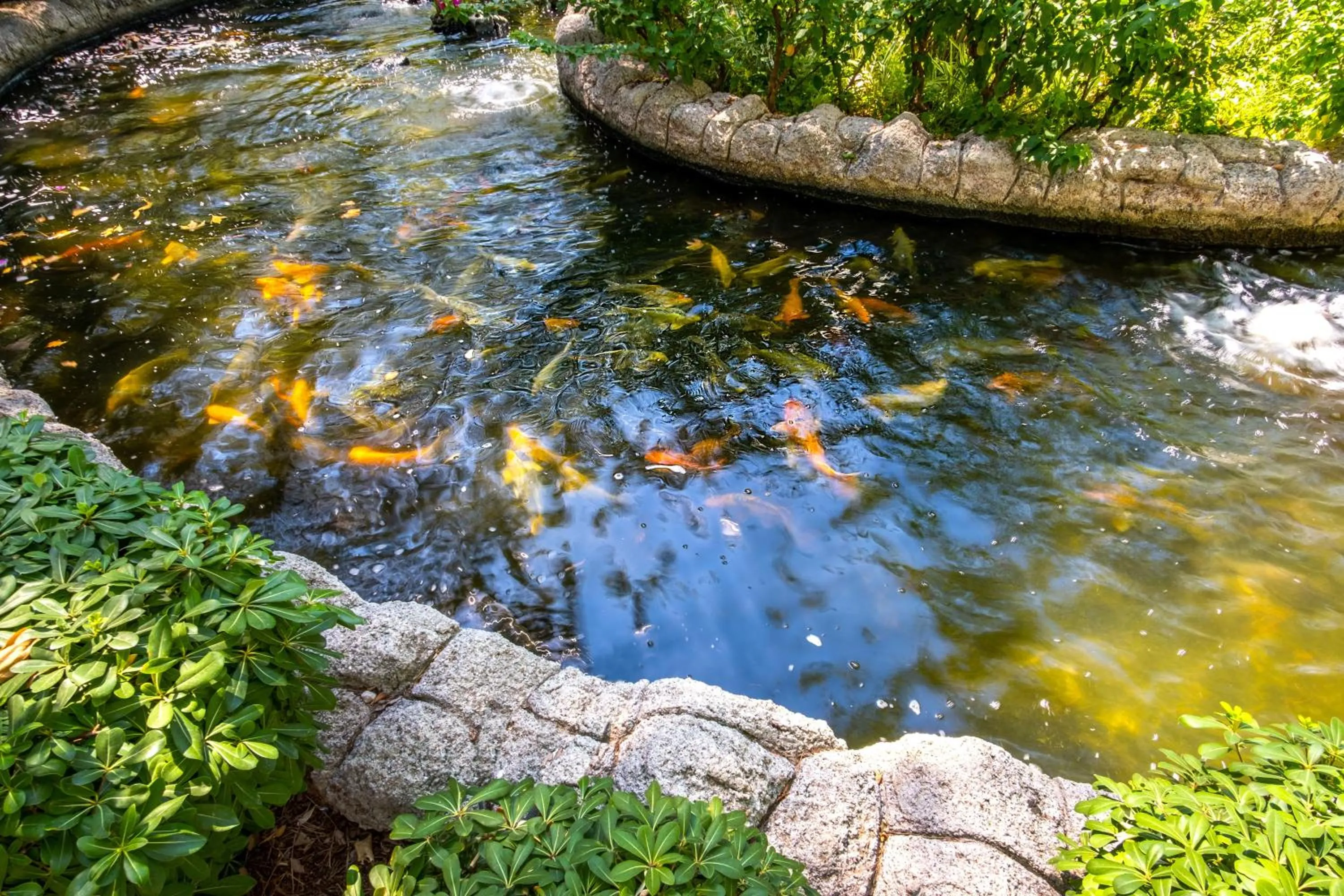 Natural landscape in Mirada Del Mar Hotel - Ultra All Inclusive