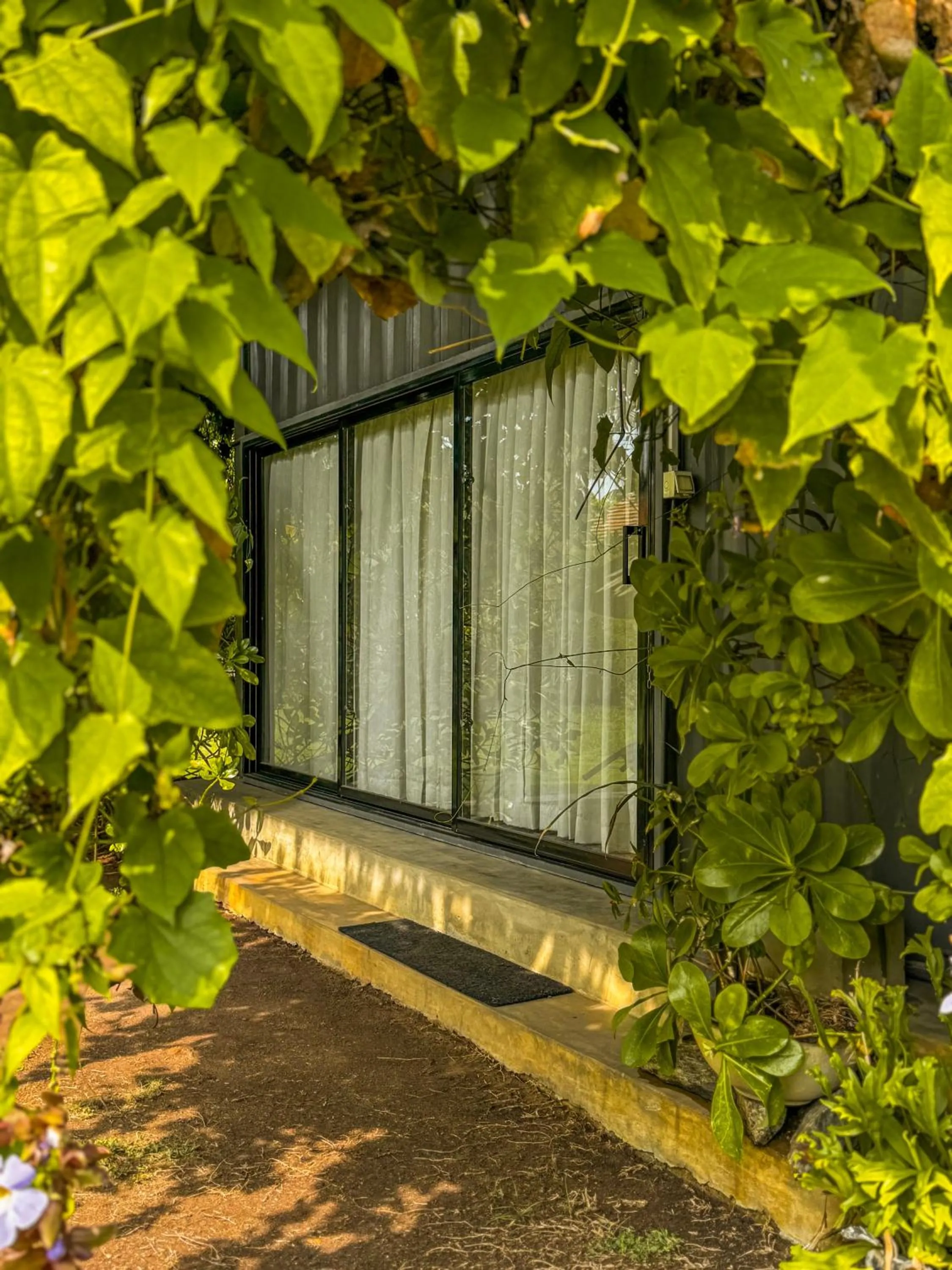 Garden view in Villa Sarakkuwa