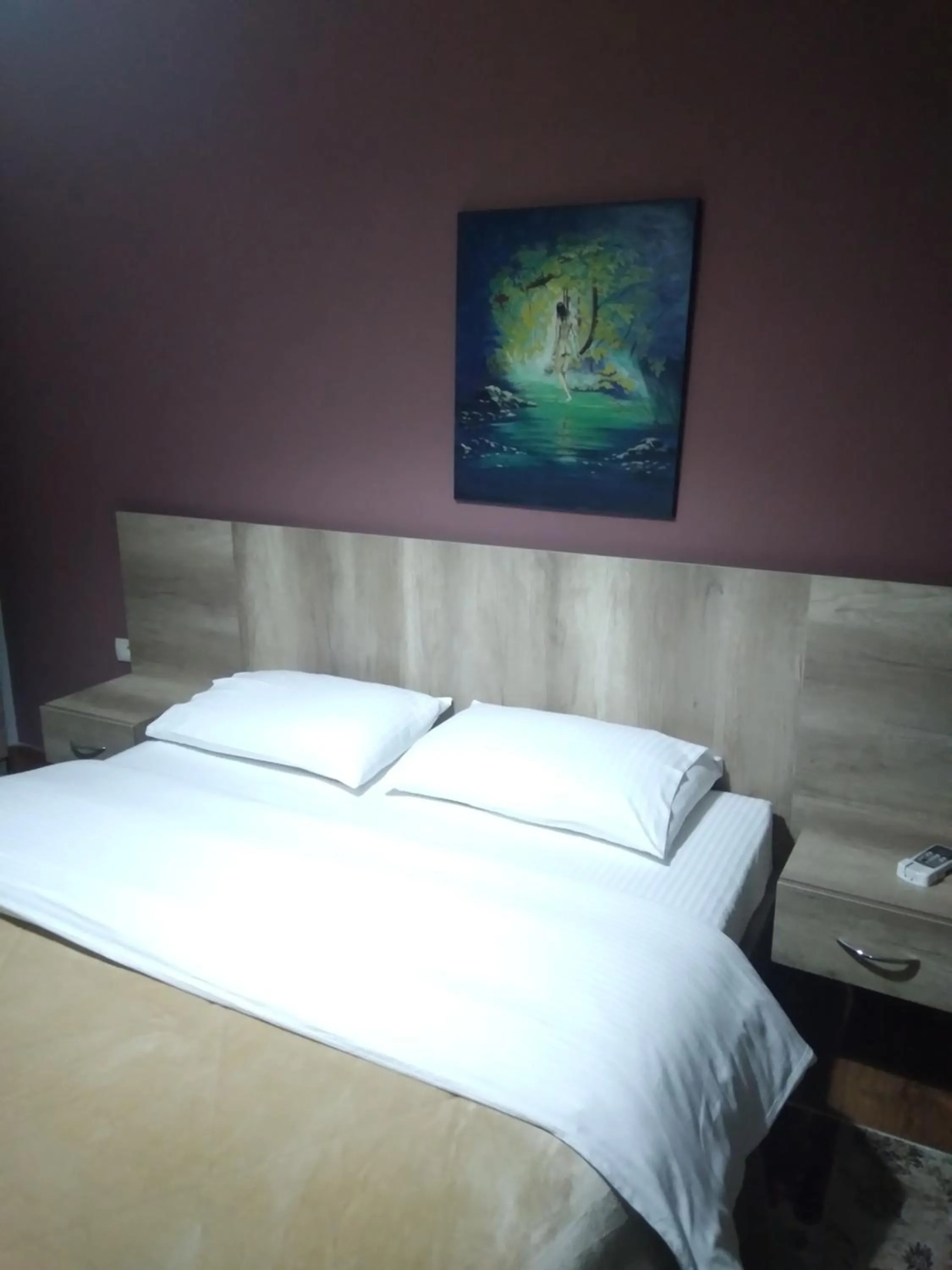 Hotel Roberto