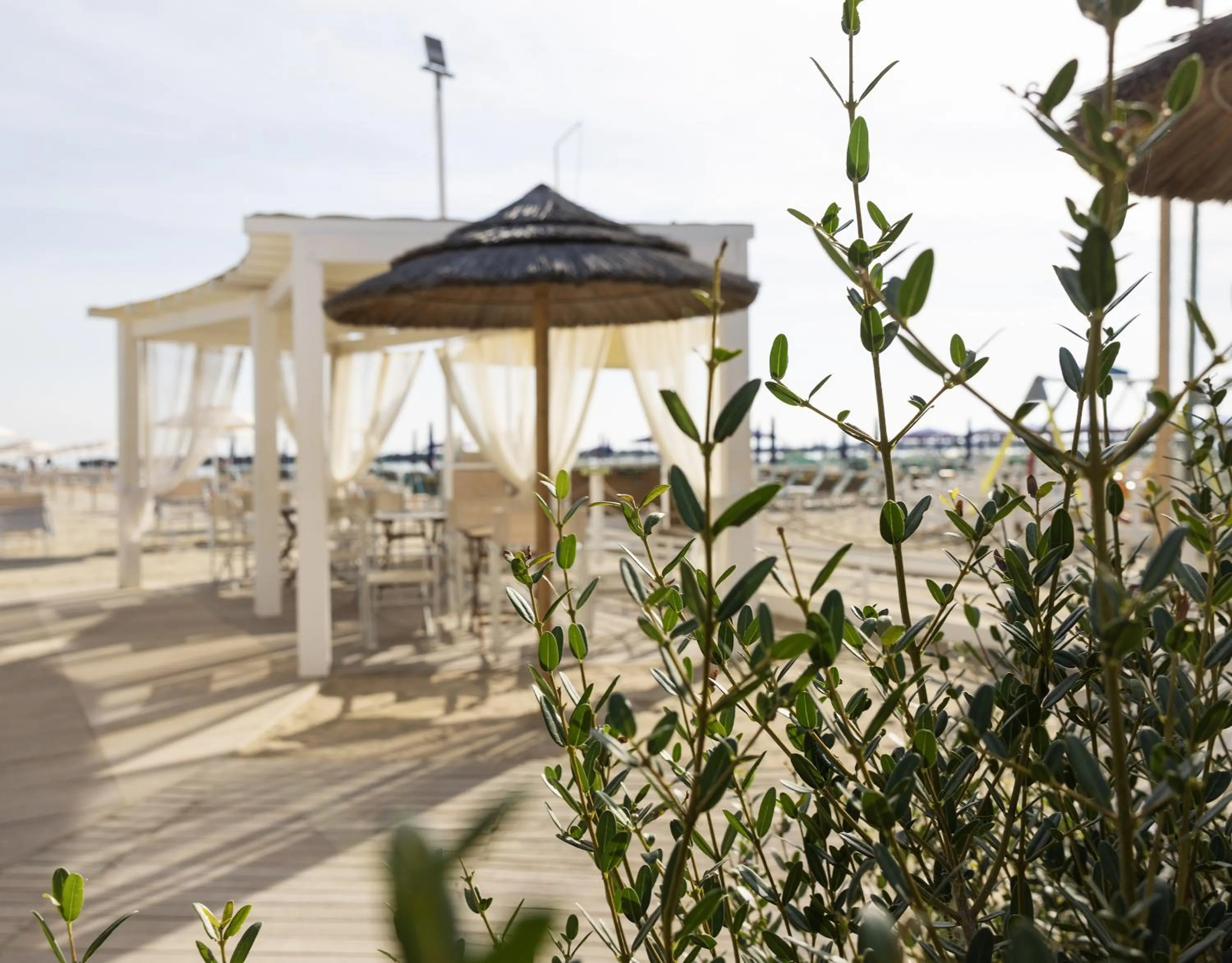 Day in Hotel Castellucci