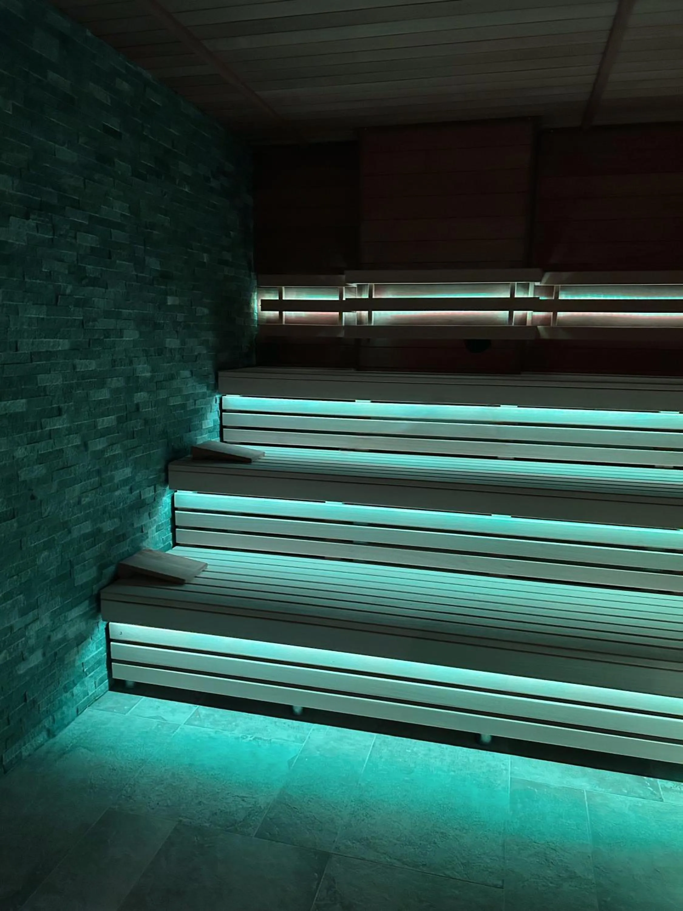 Sauna in Aries Hotel & SPA Szczyrk