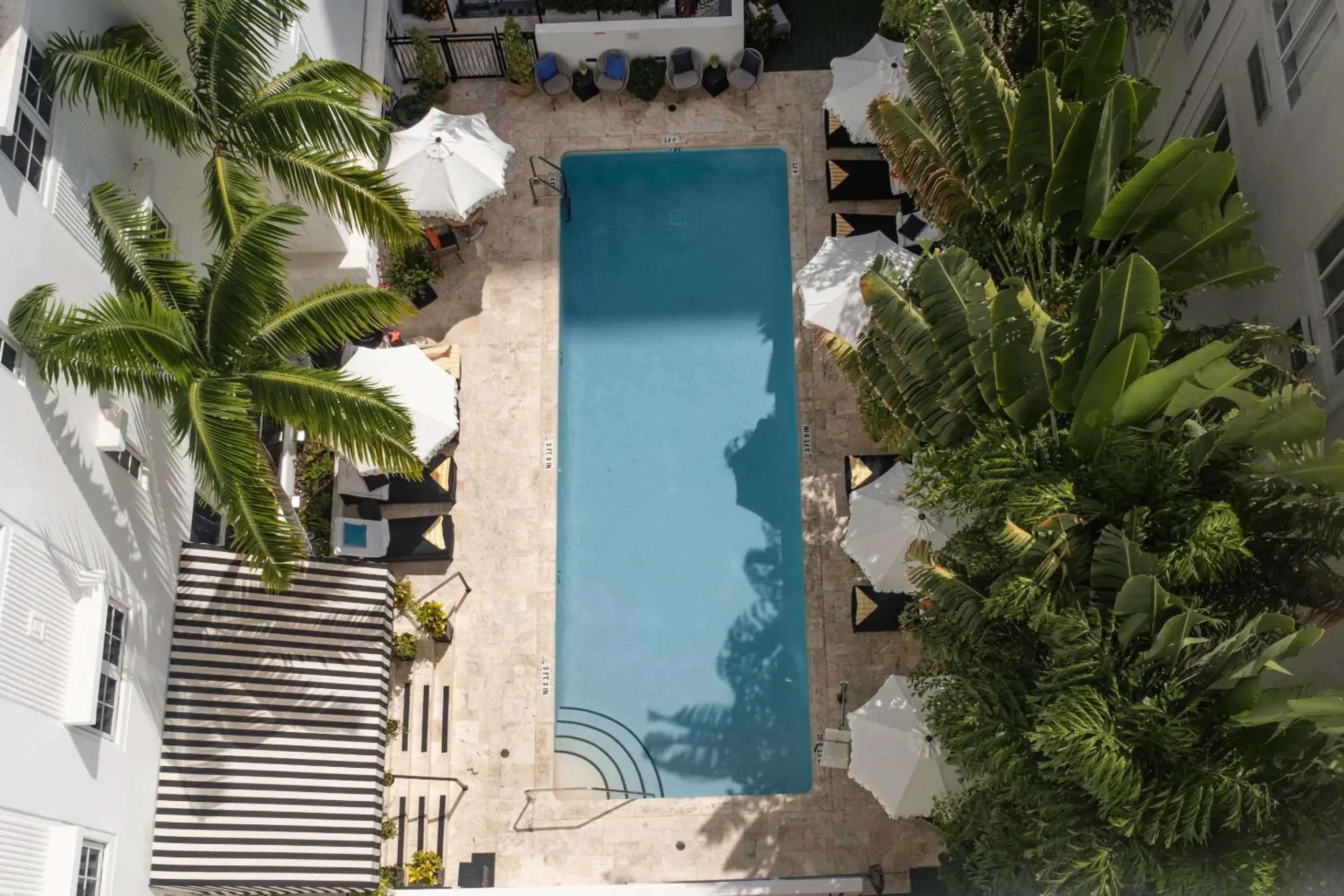 Swimming pool in Hotel Croydon Swimming pool in Hotel Croydon