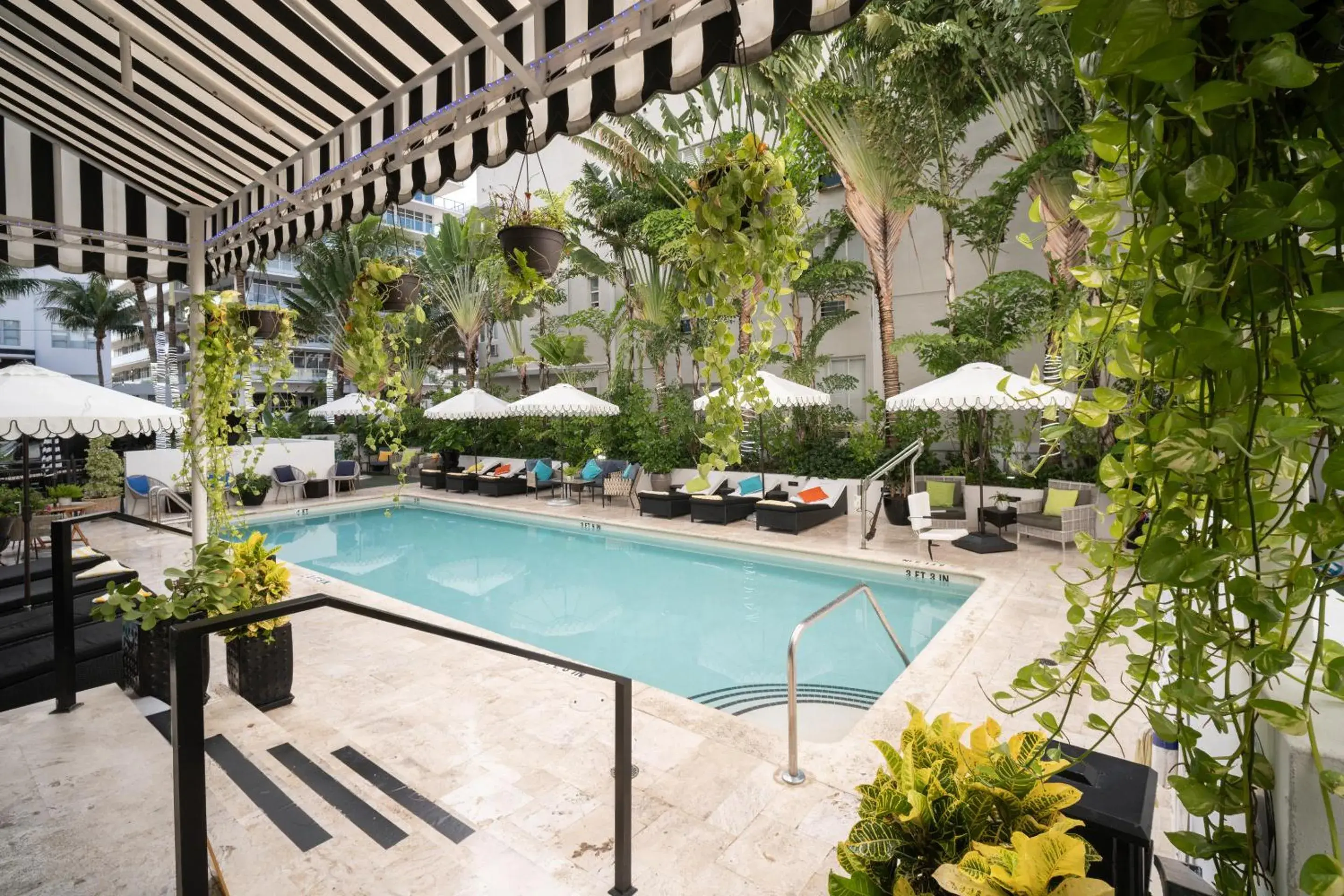 Swimming pool in Hotel Croydon Swimming pool in Hotel Croydon