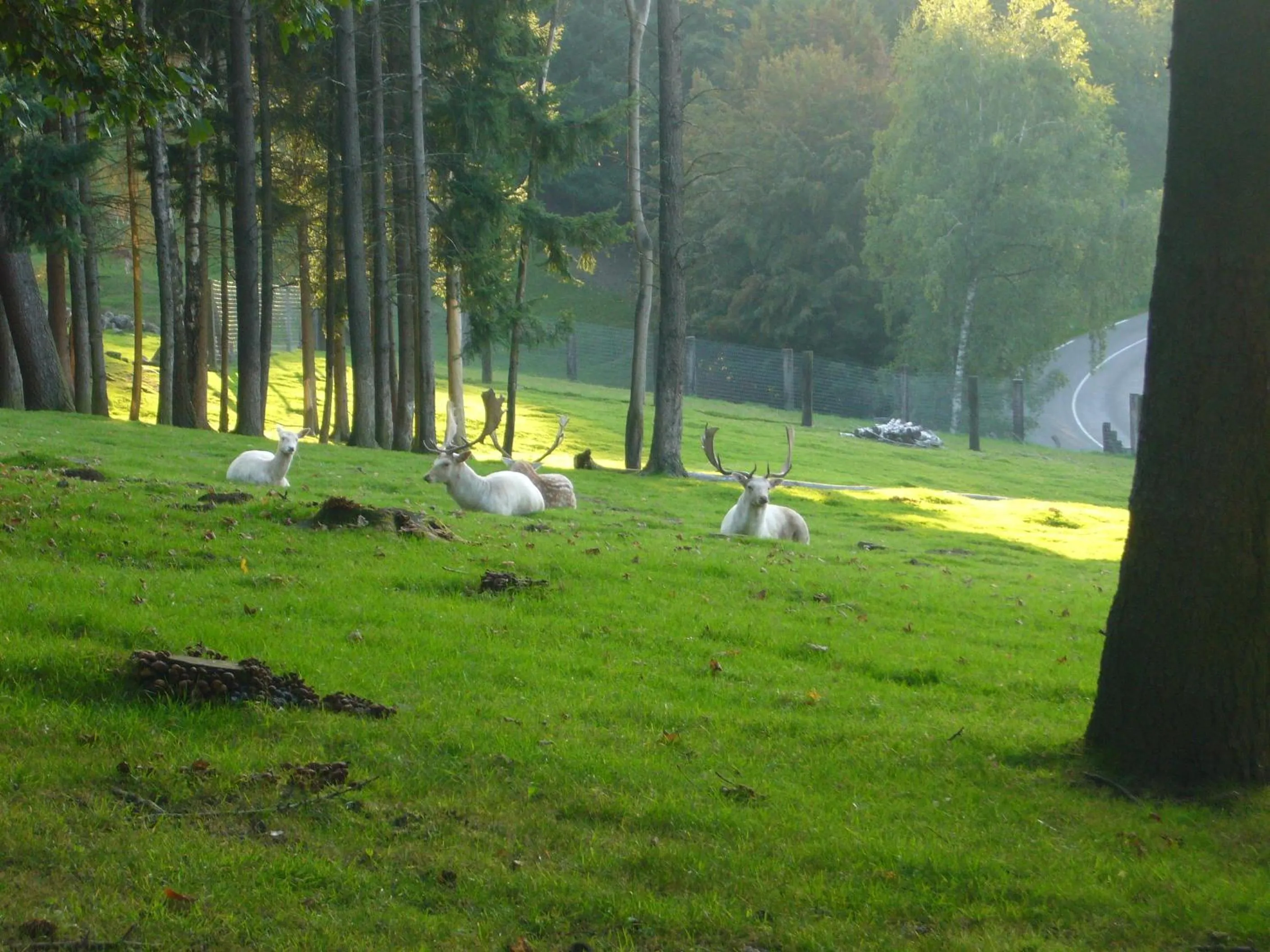 Nearby landmark in La Maison des Fontaines d'Alsace