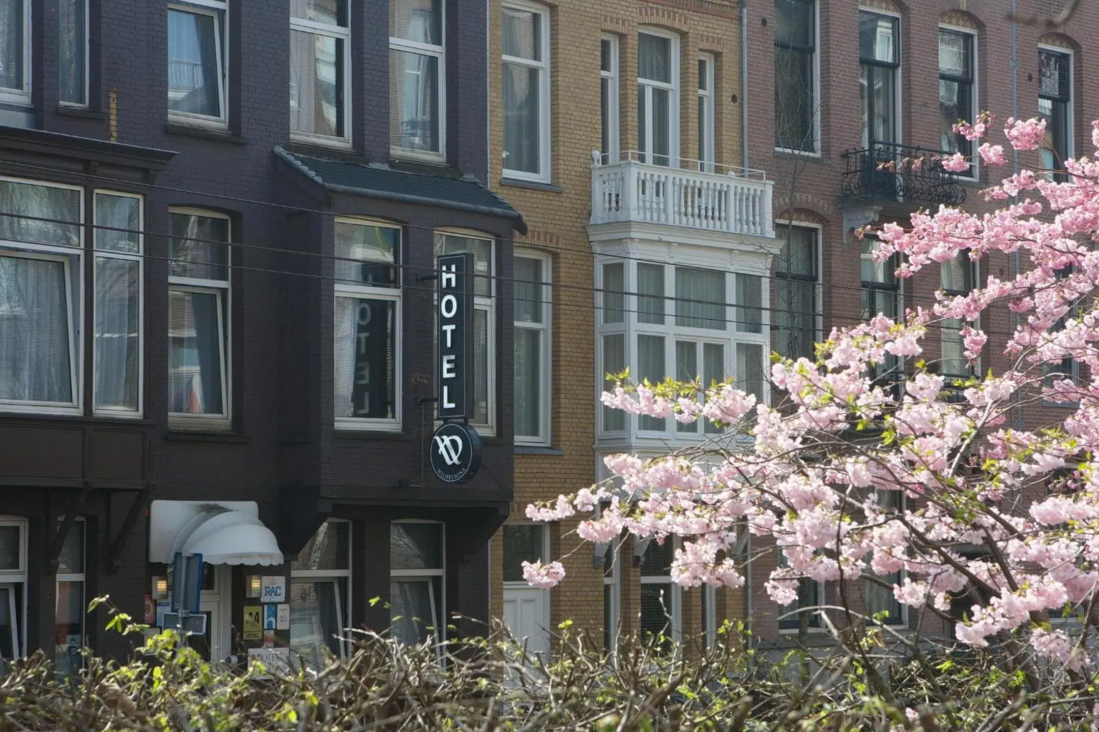 Property building in Aadam Wilhelmina Hotel Property building in Aadam Wilhelmina Hotel