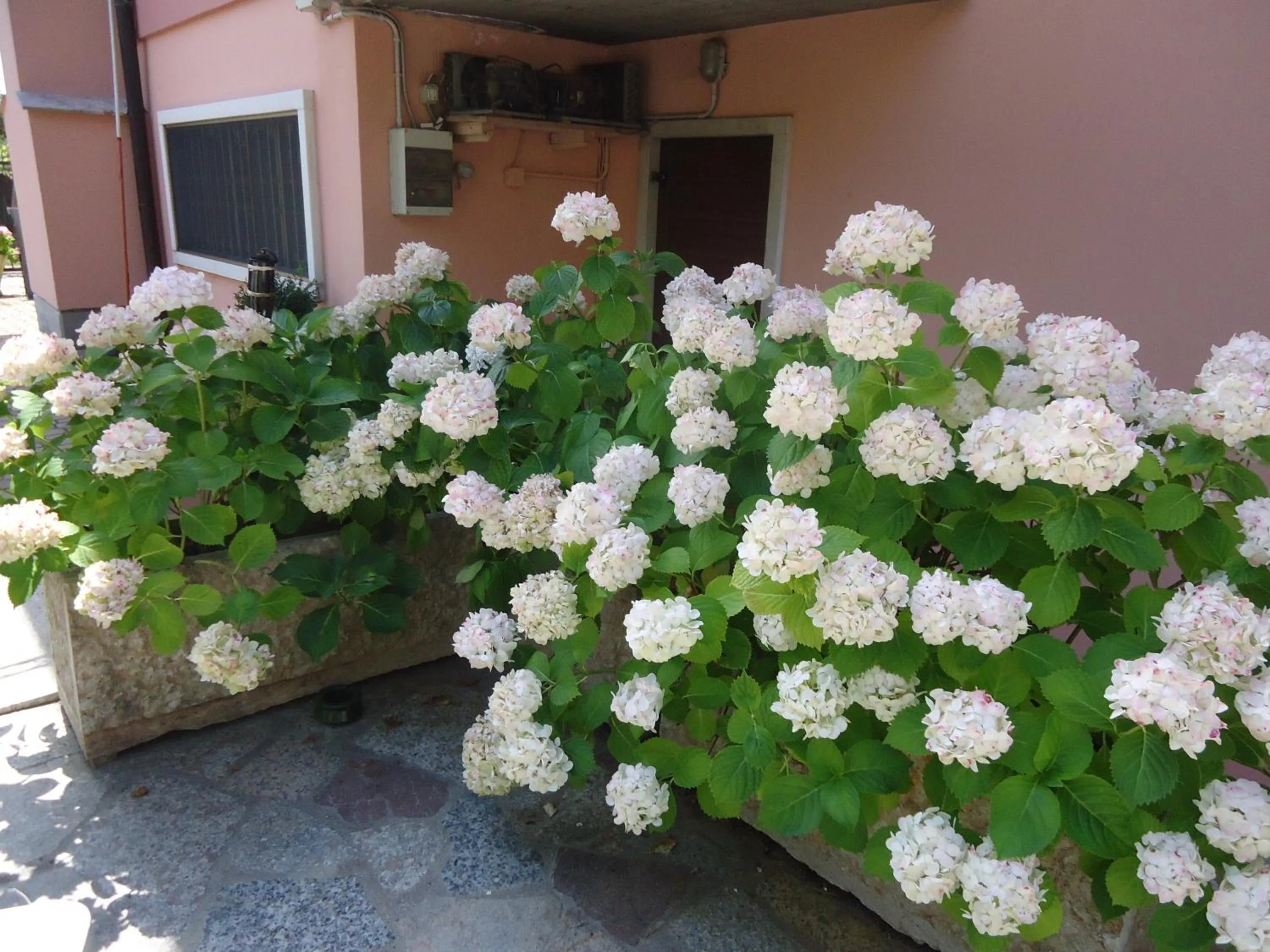 Facade/entrance in B&B Laura