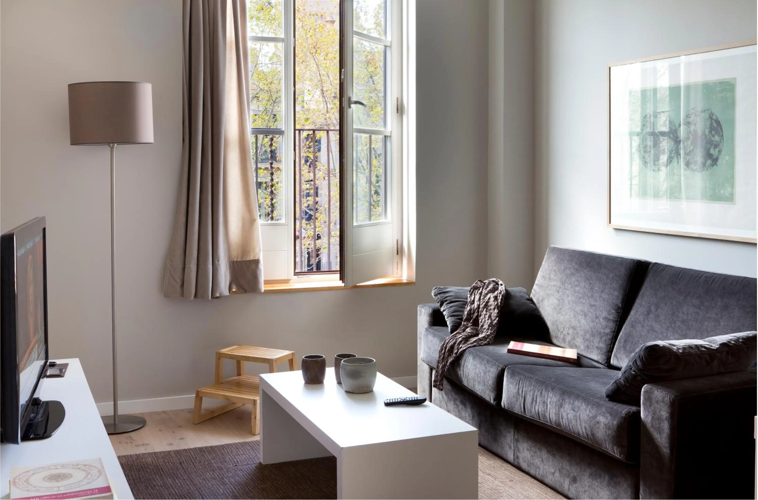 Living room in Rambla 102