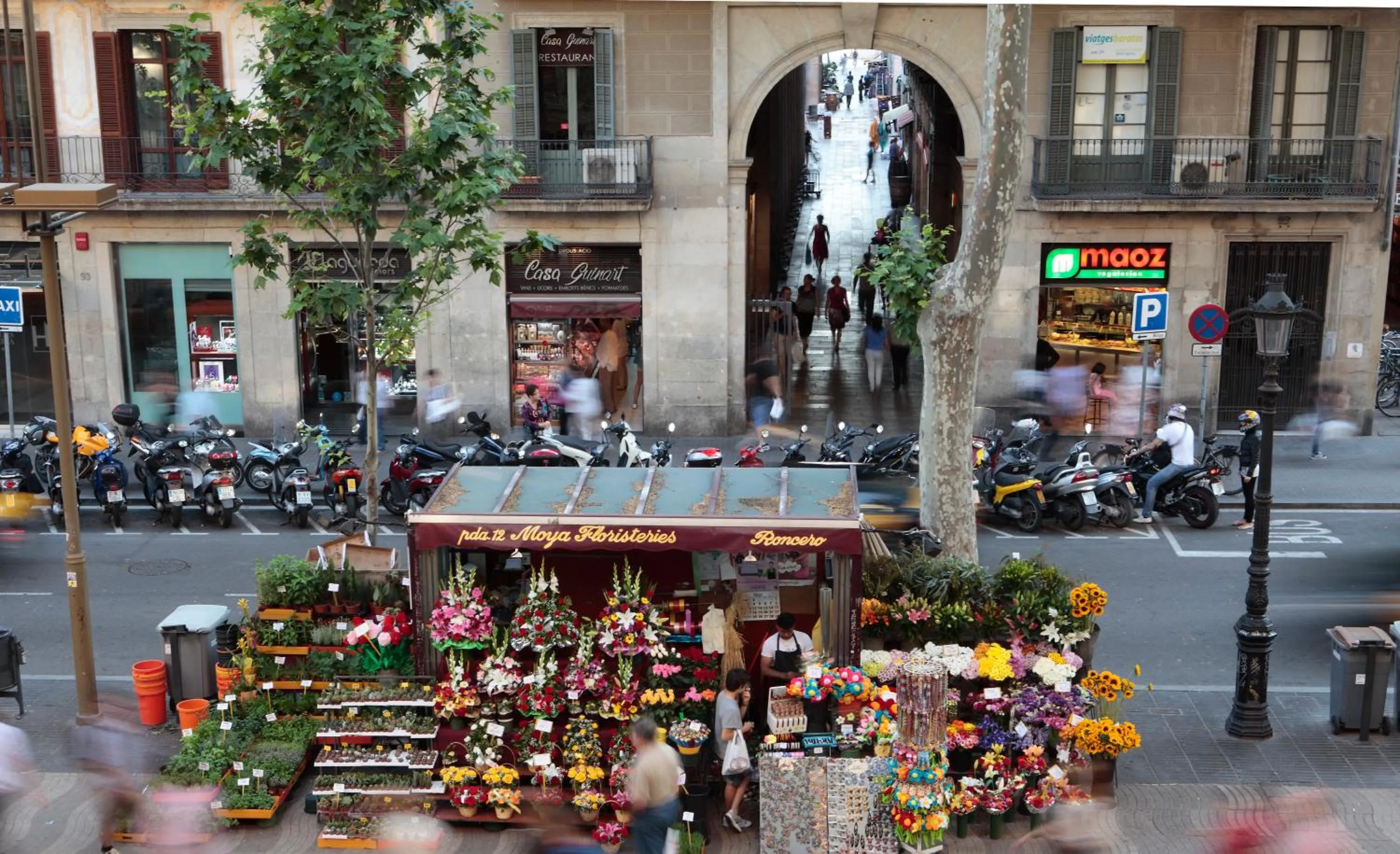 View (from property/room) in Rambla 102