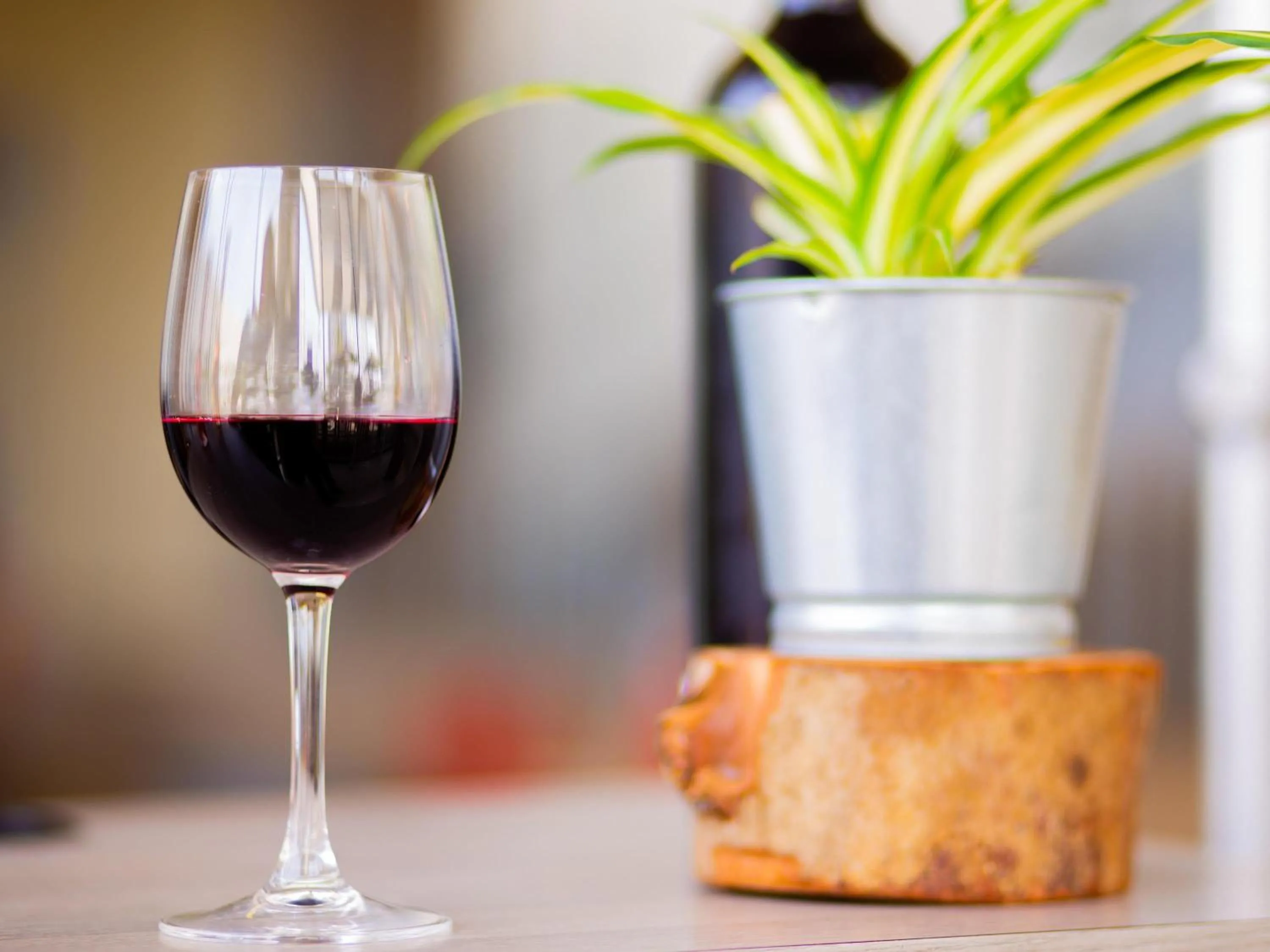 Restaurant/places to eat in Ibis Casanearshore