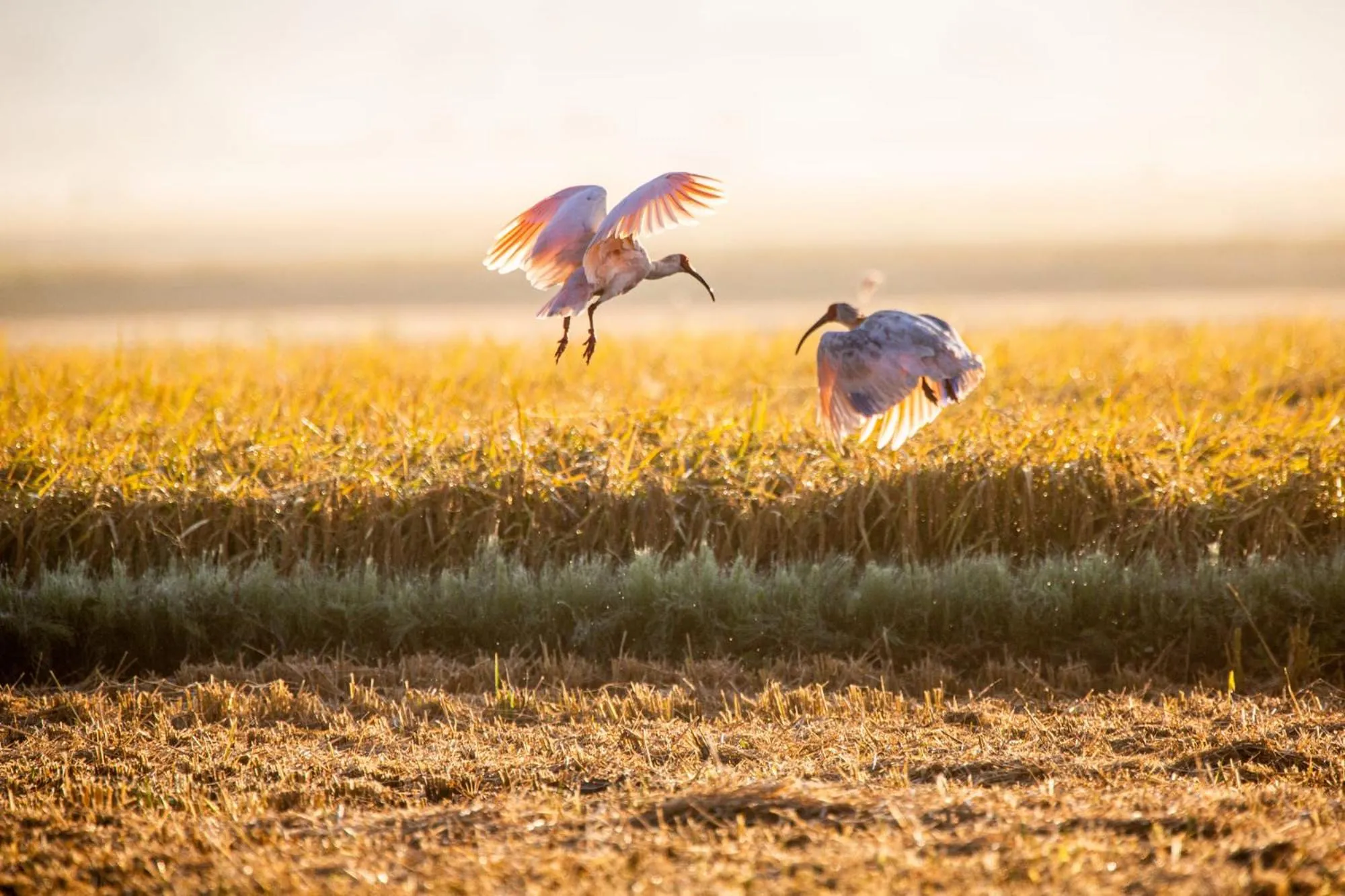 Off site in Sado Ryosou Minato