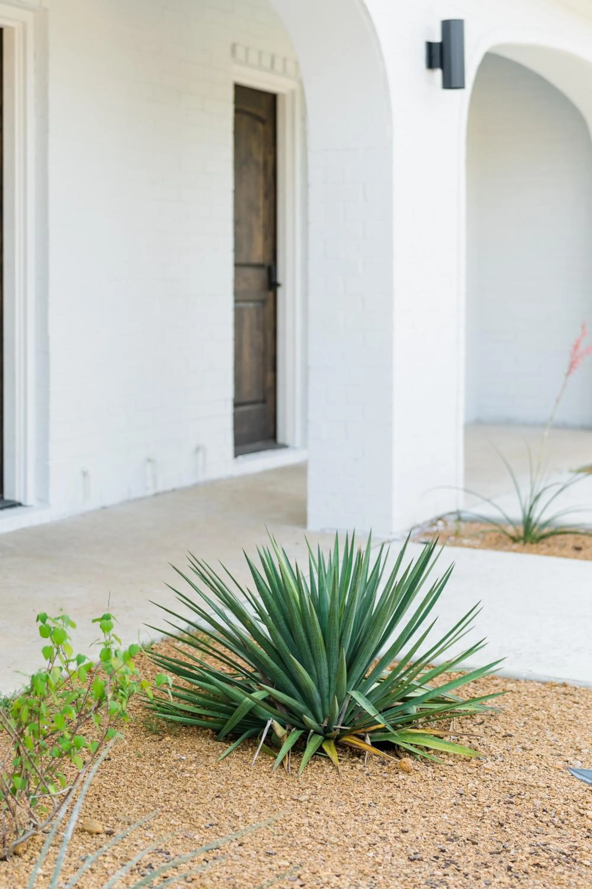 Day in La Palmilla Texas