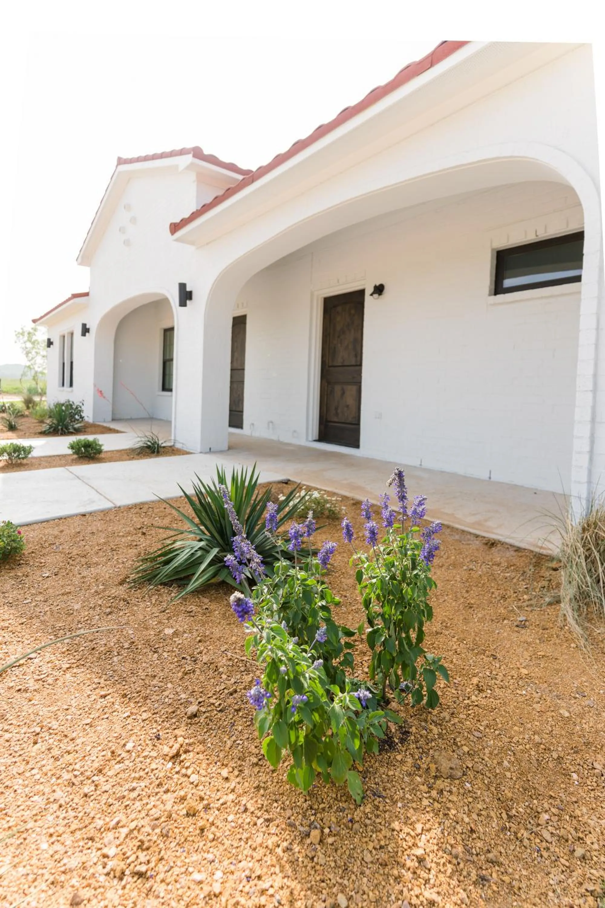 Property building in La Palmilla Texas