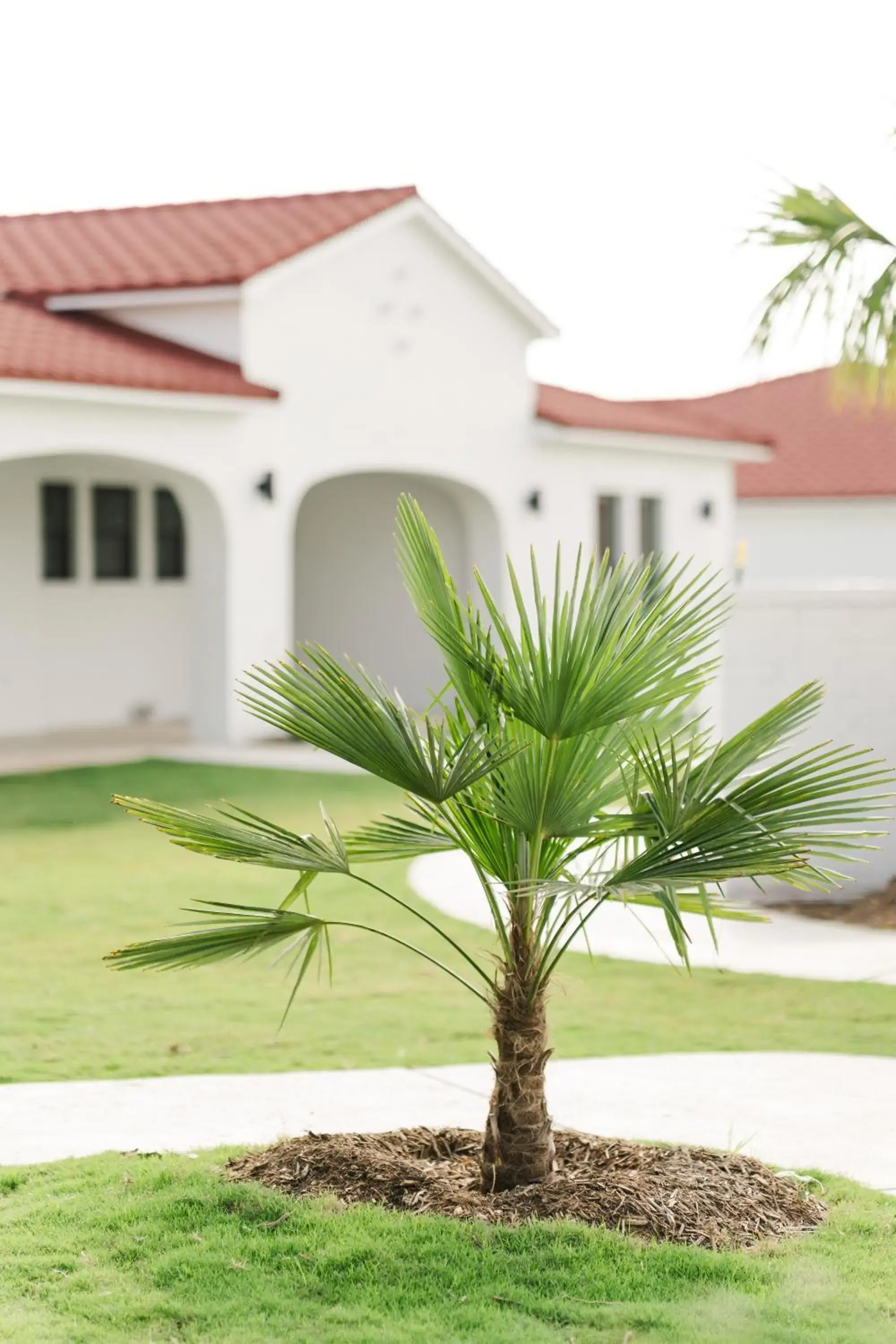 Property building in La Palmilla Texas Property building in La Palmilla Texas