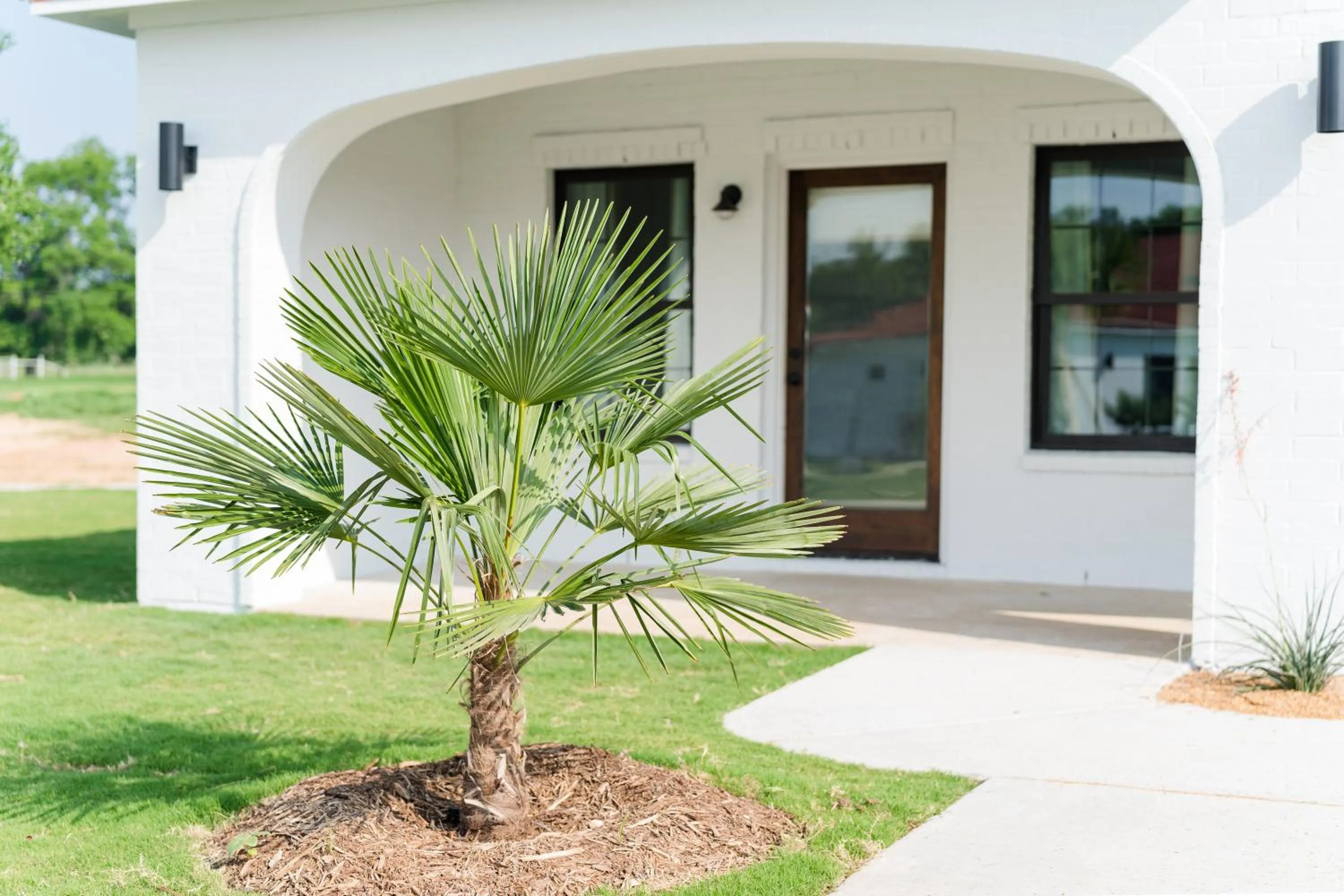 Property building in La Palmilla Texas