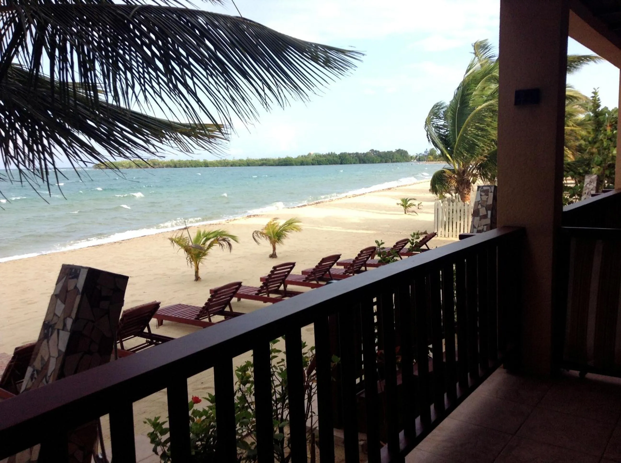 View (from property/room) in Belizean Nirvana