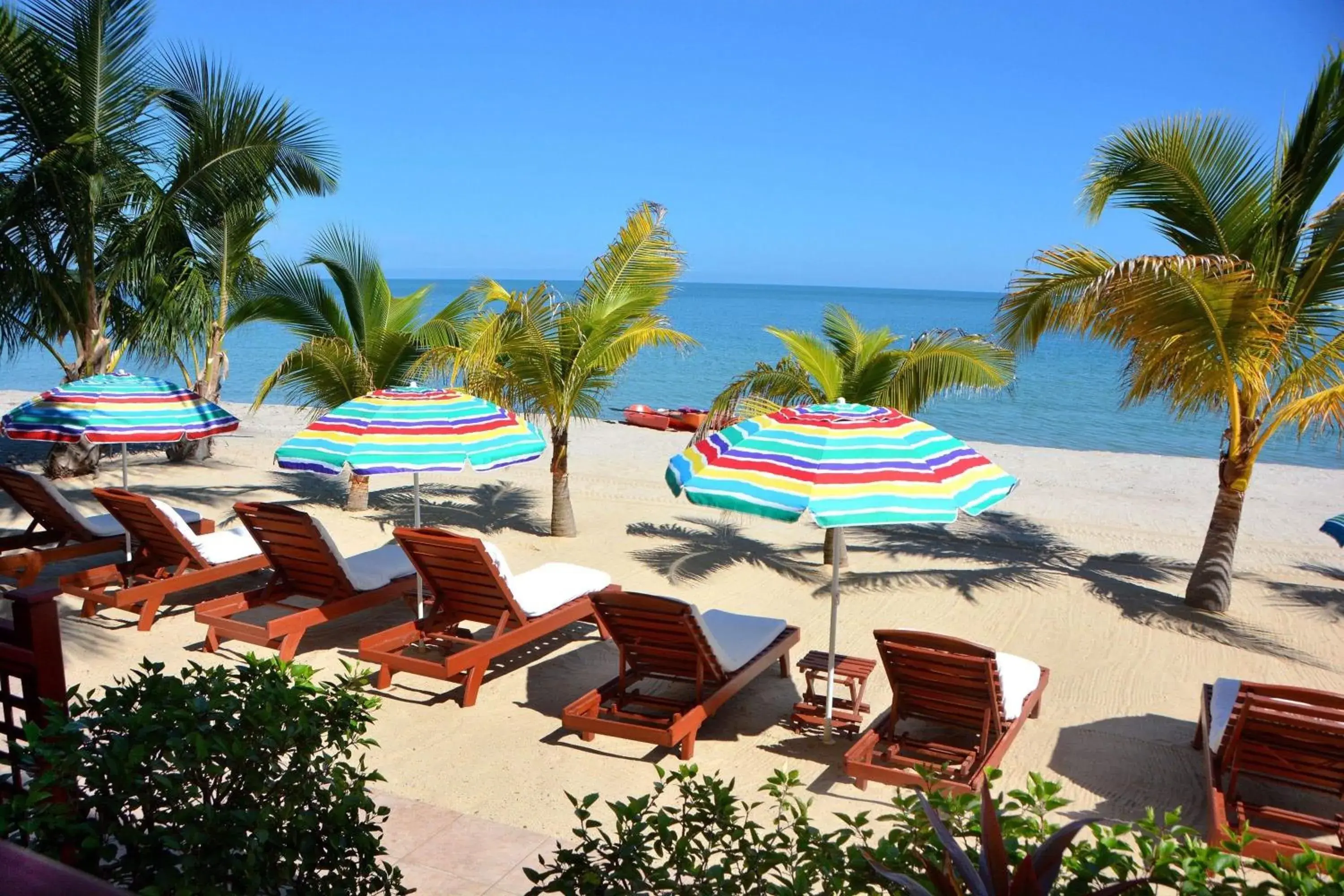 One Bedroom Suite Ocean Front in Belizean Nirvana One Bedroom Suite Ocean Front in Belizean Nirvana