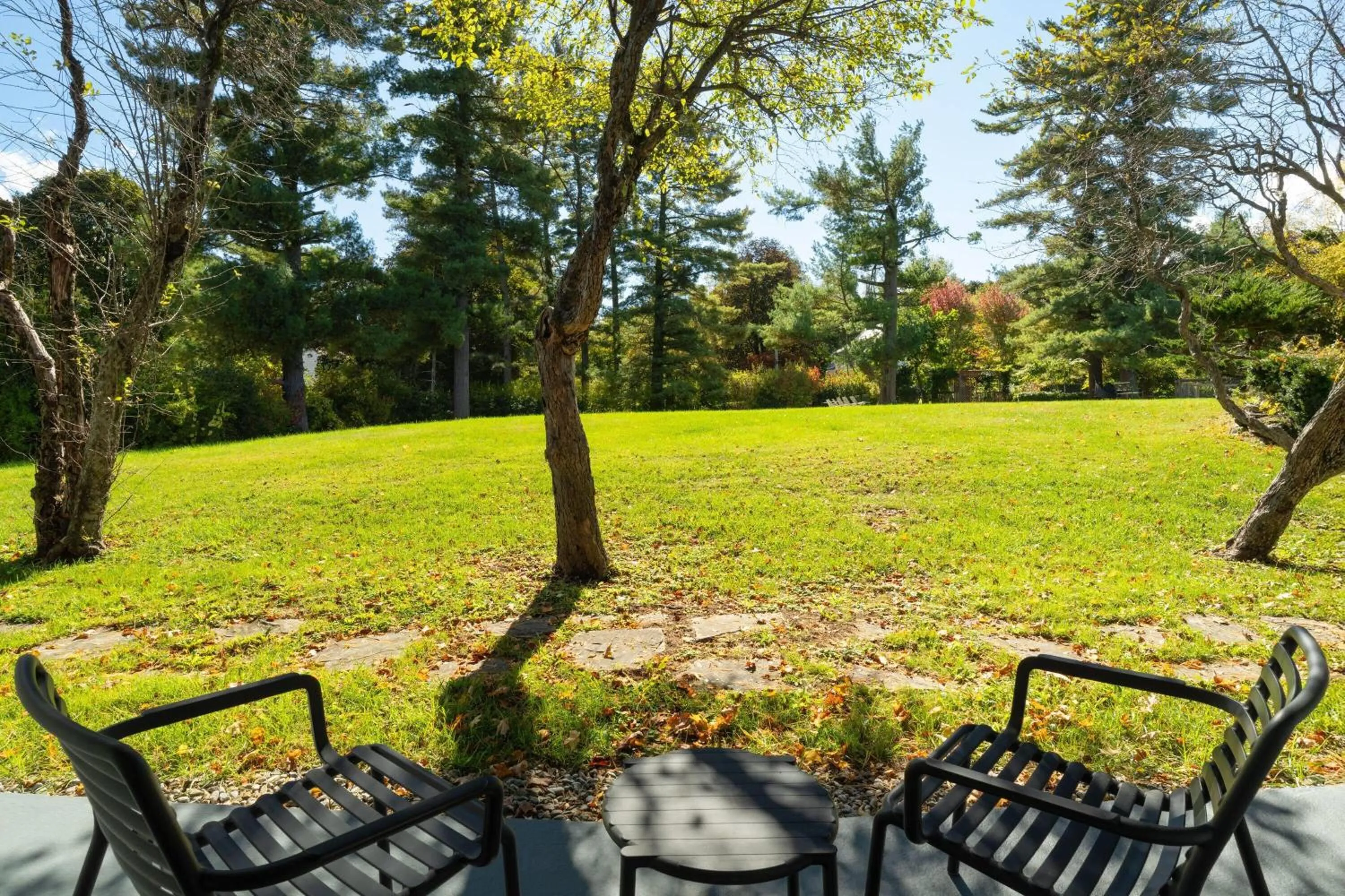 Photo of the whole room in Hotel Vervana, Trademark Collection by Wyndham