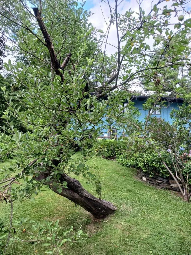 Hotel Vervana, Trademark Collection by Wyndham