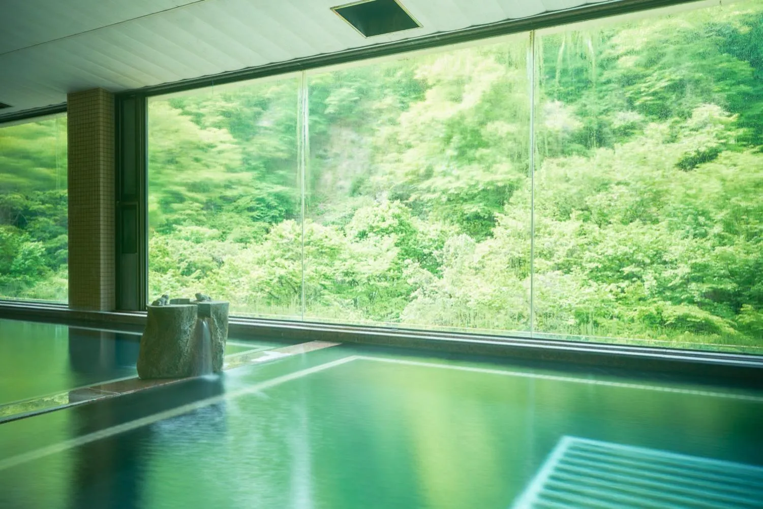 Hot Spring Bath in Sansuiso Tsuchiyu Spa