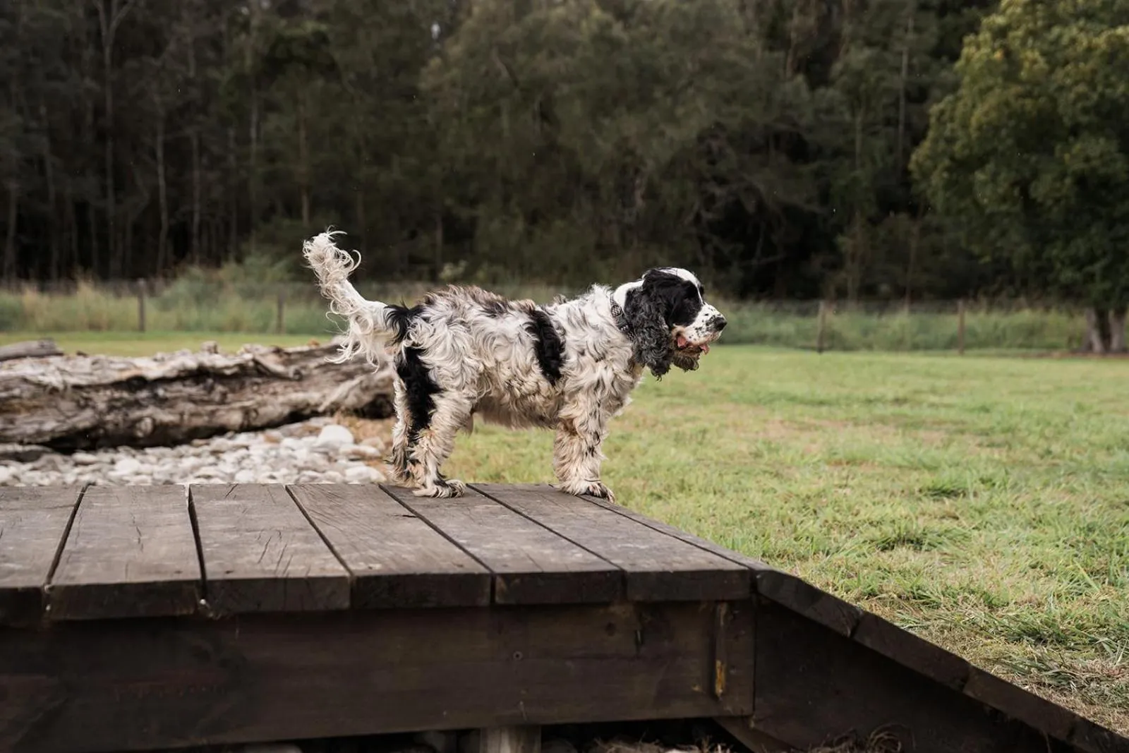 BIG4 Saltwater Yamba Holiday Park