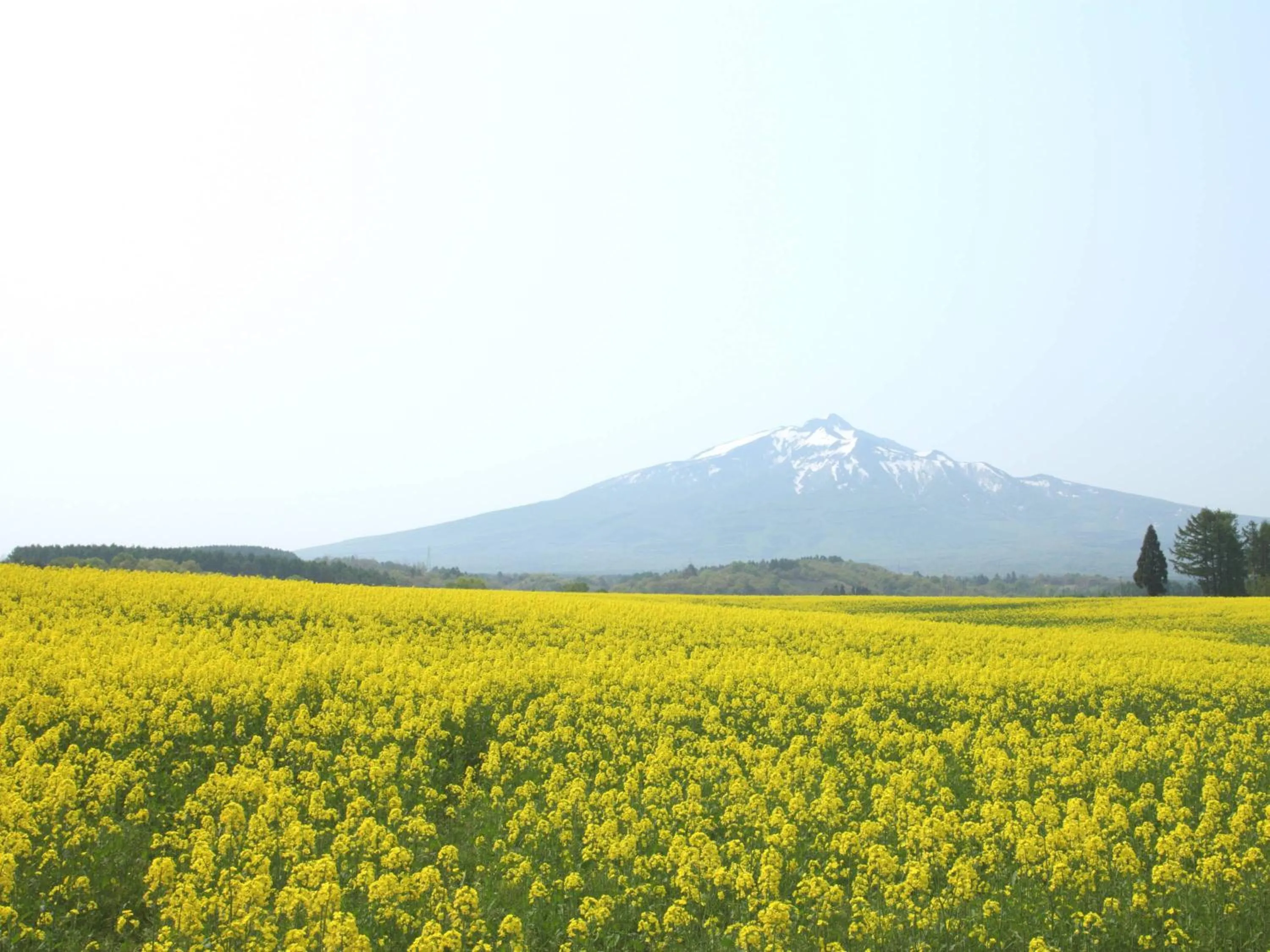 Nearby landmark in APA Hotel Aomori Ekihigashi