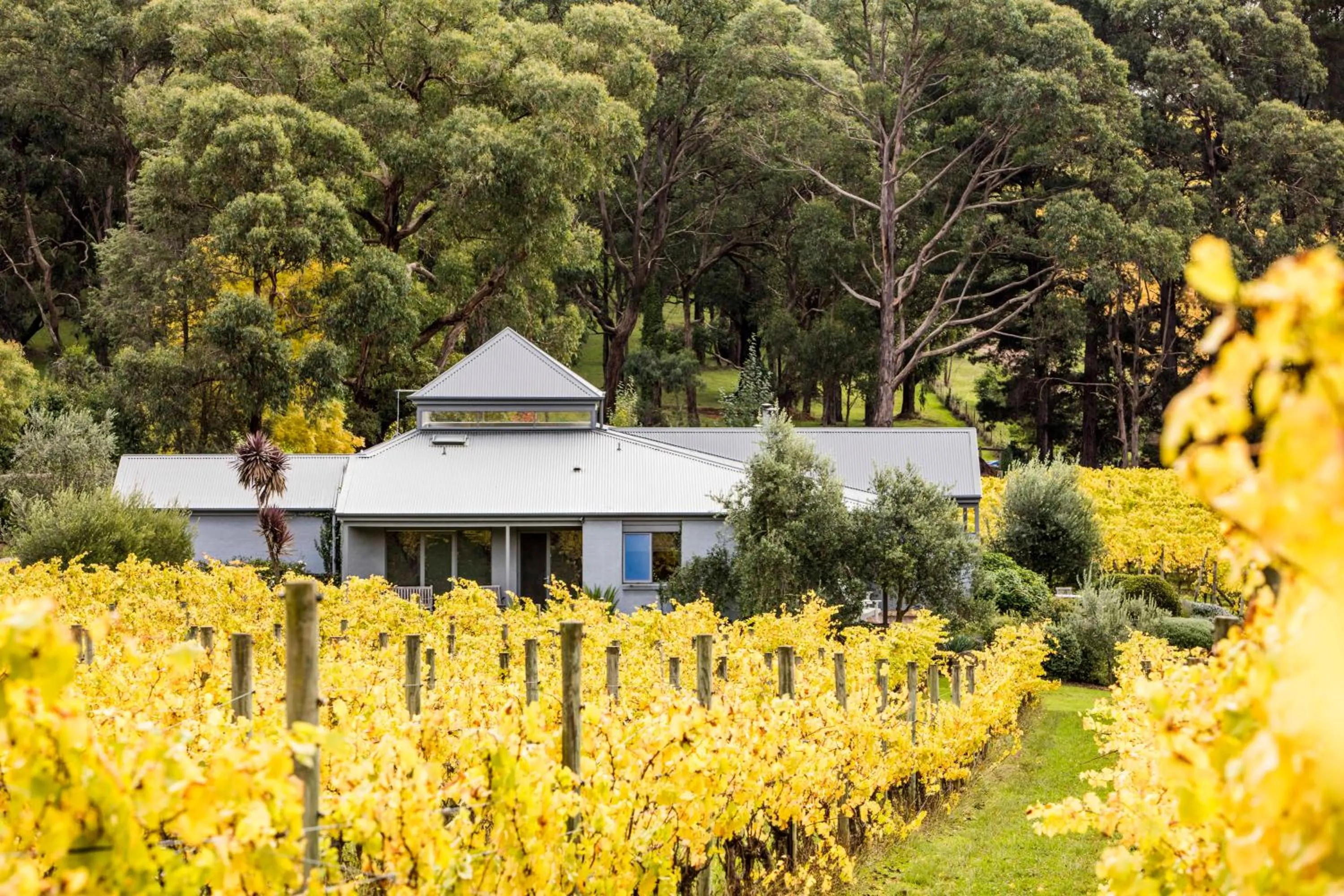 Garden in Polperro Villas