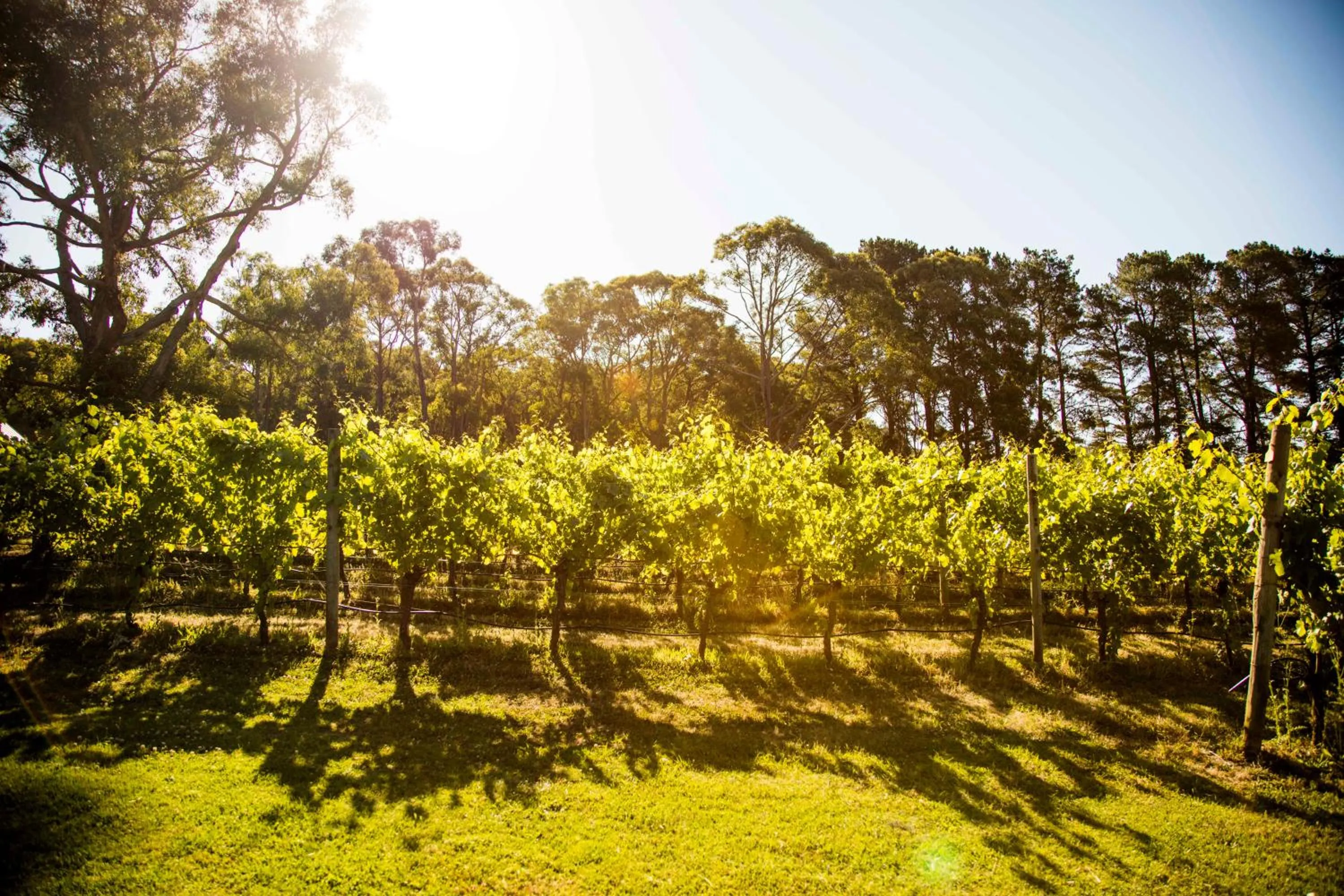 Spring in Polperro Villas