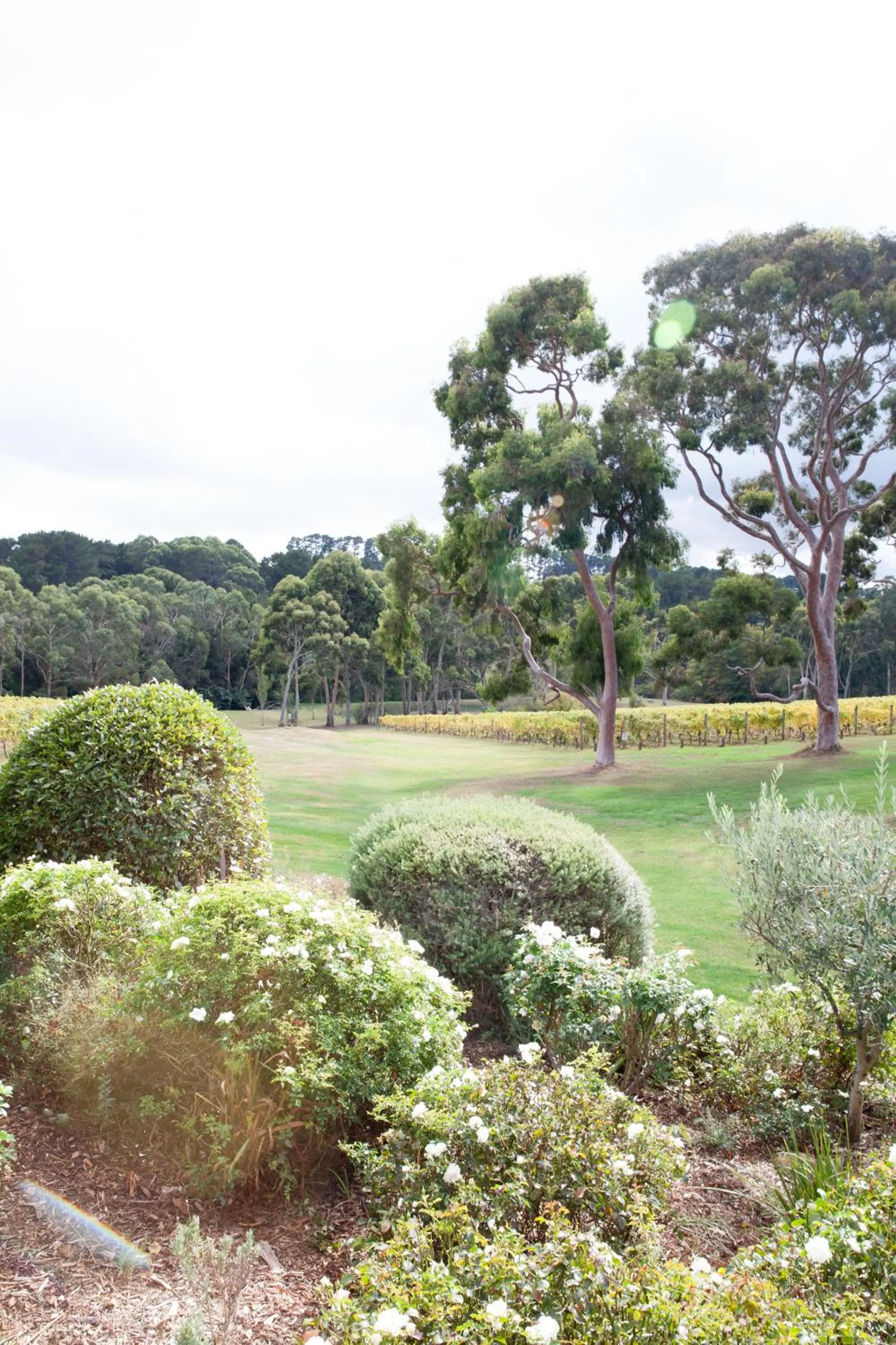 Garden in Polperro Villas