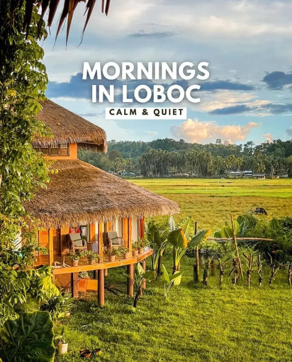 Vacation Home in Fox & The Firefly Cottages Vacation Home in Fox & The Firefly Cottages