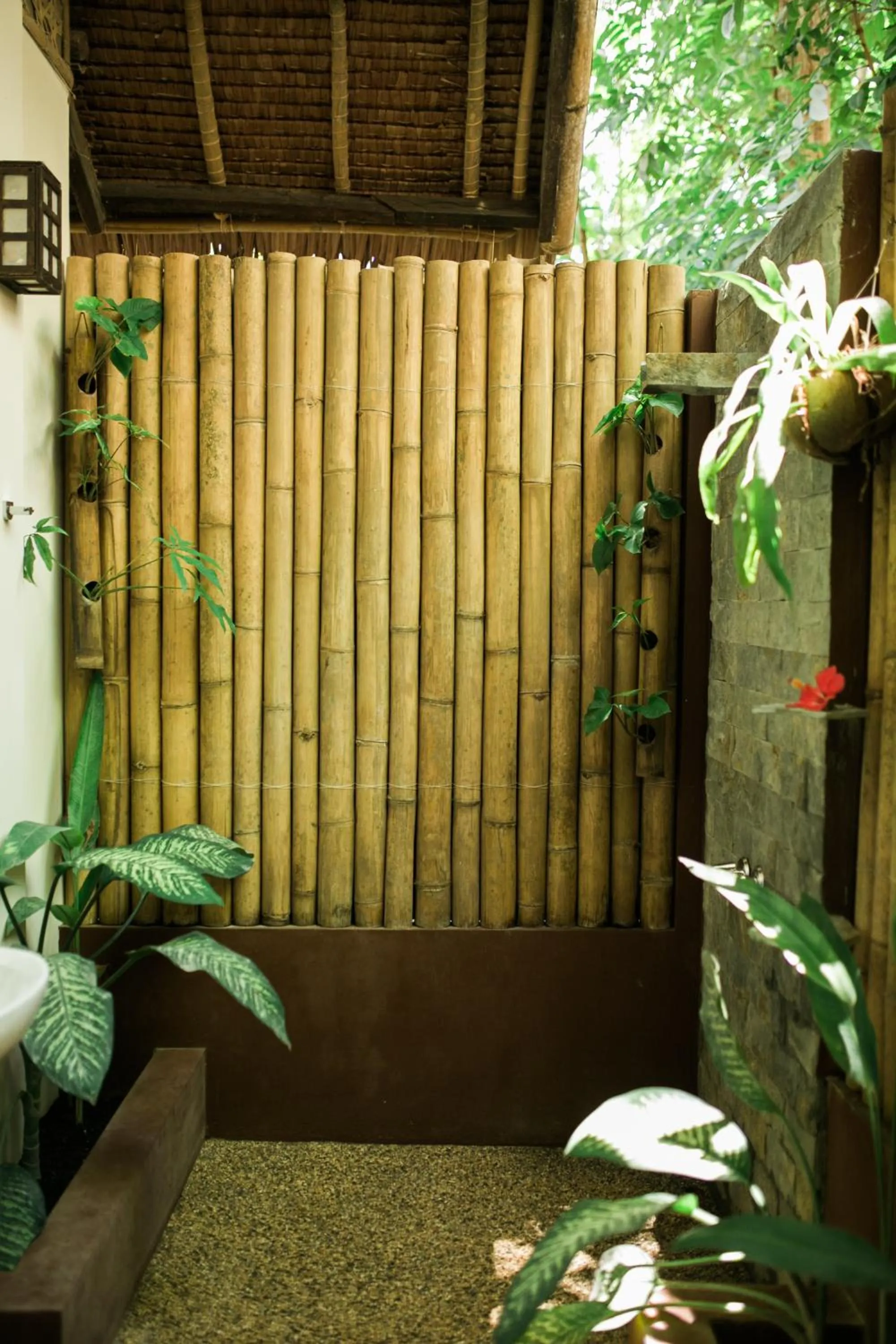 Shower in Fox & The Firefly Cottages