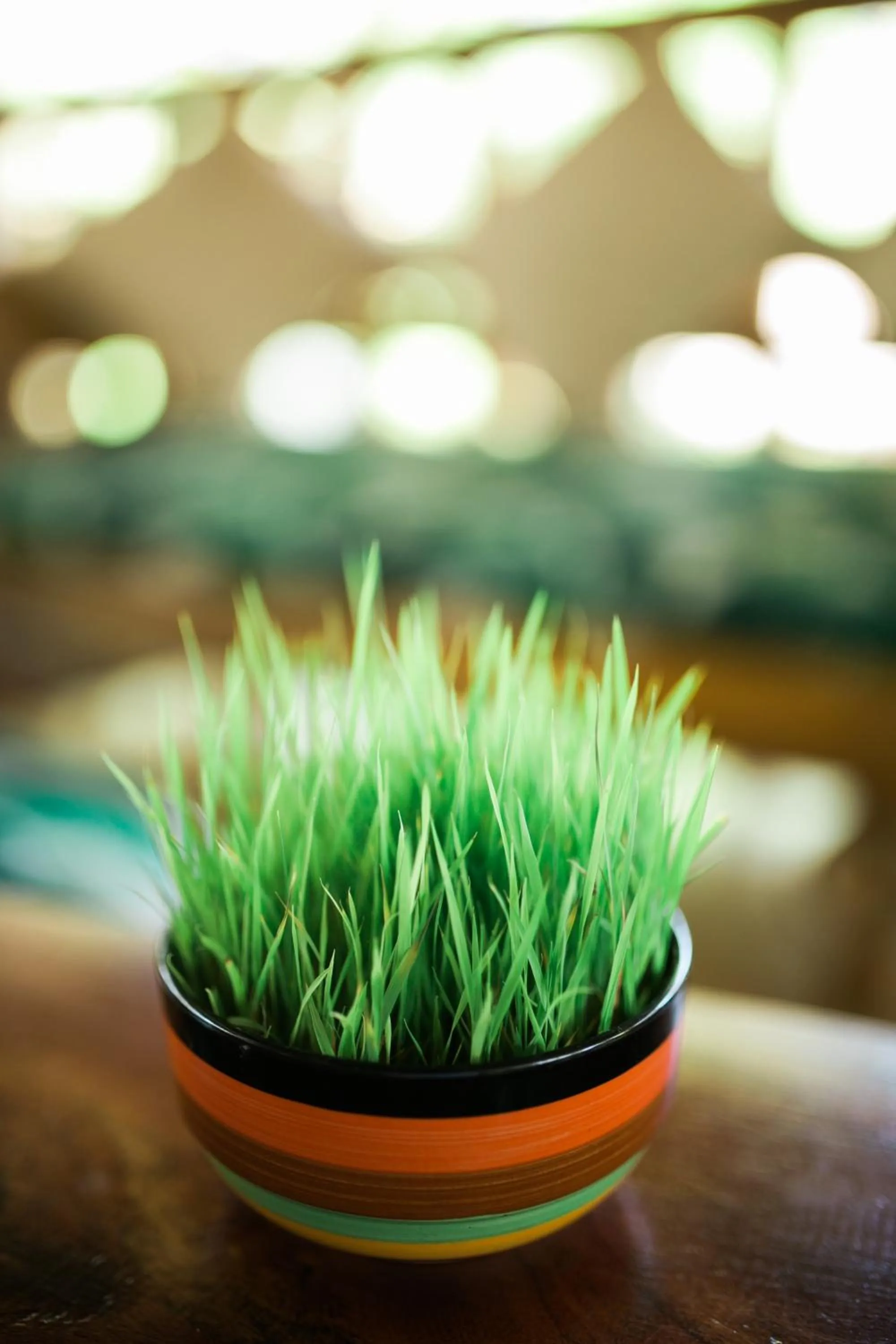 Decorative detail in Fox & The Firefly Cottages