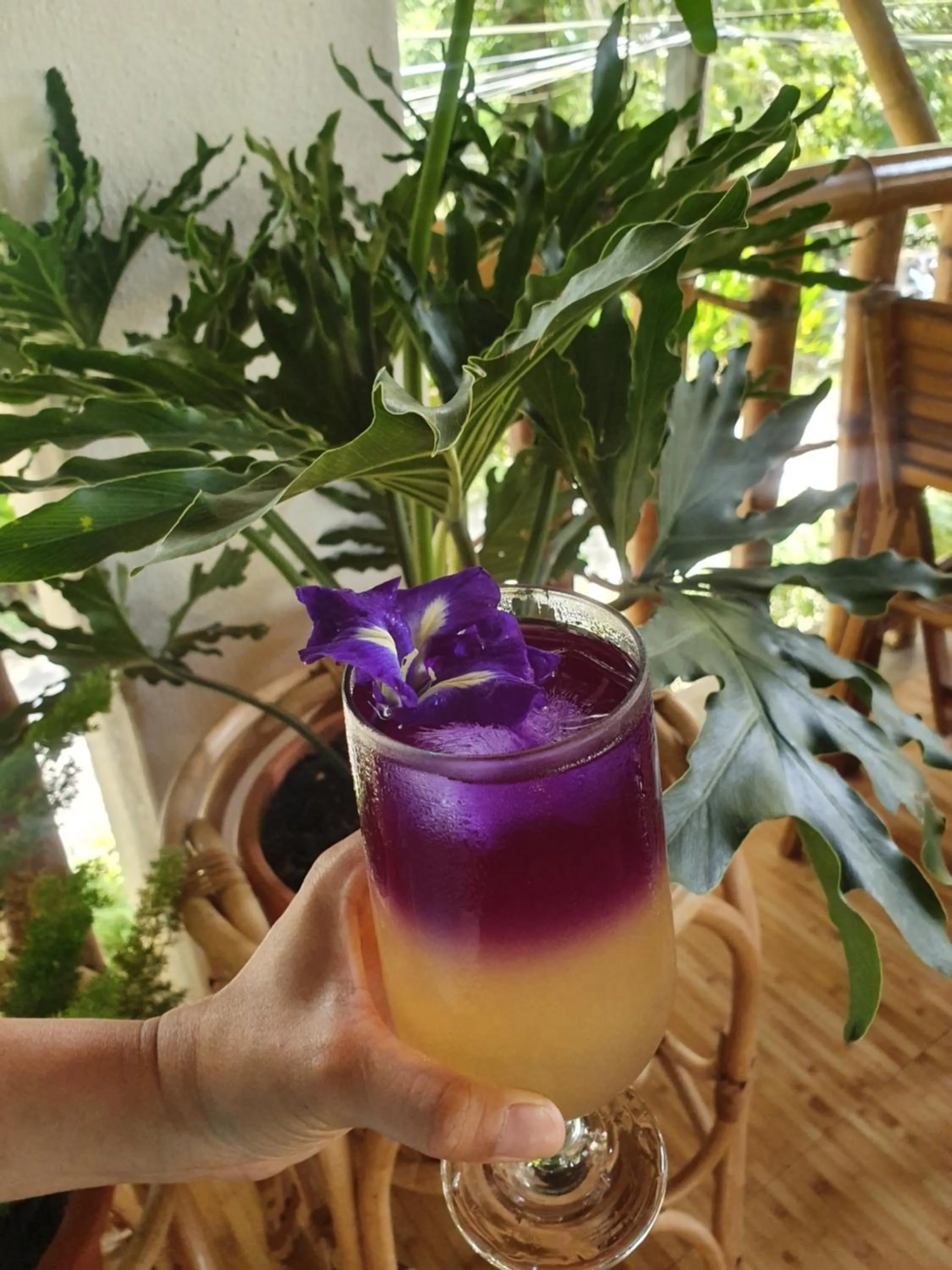 Drinks in Fox & The Firefly Cottages