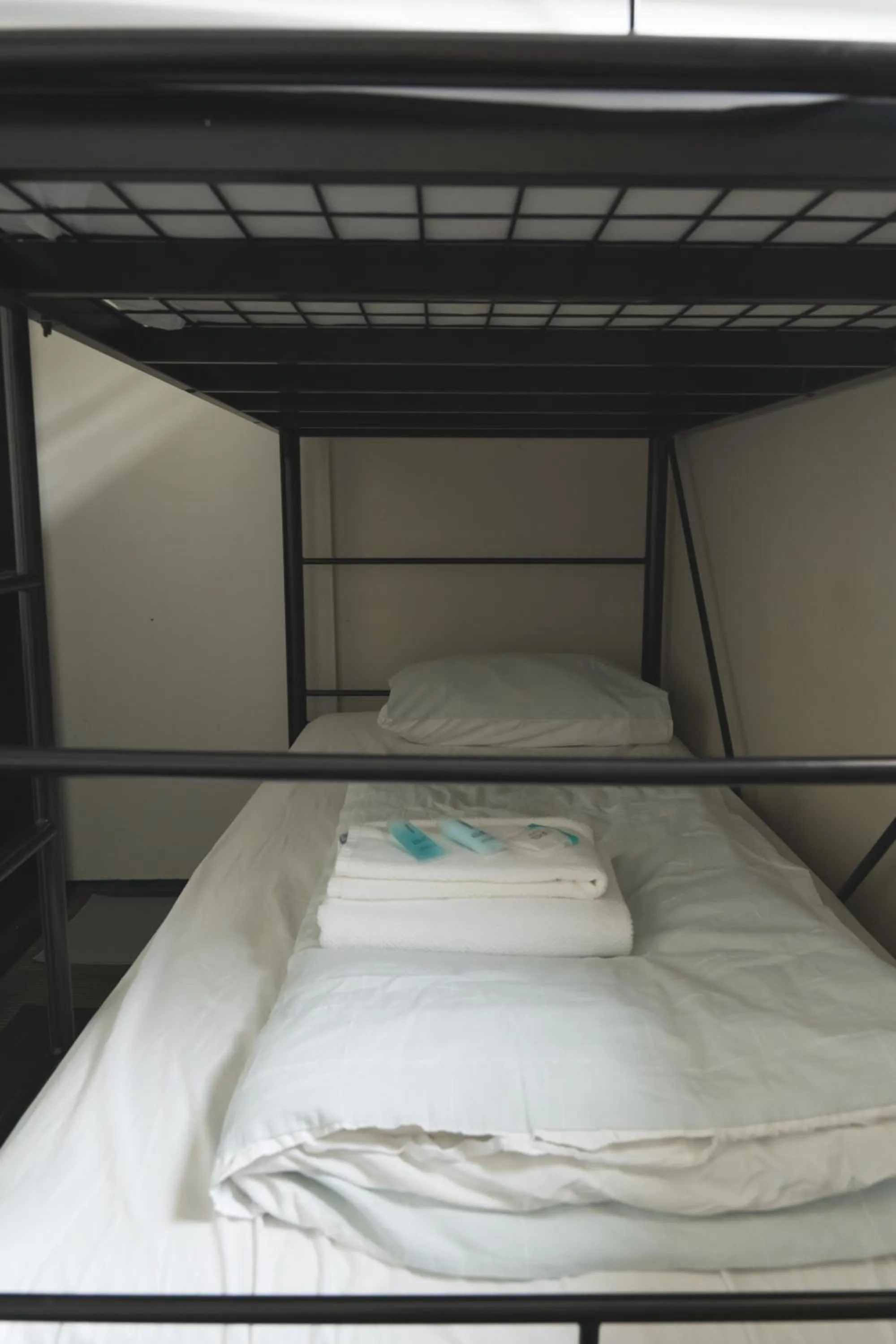 bunk bed, Bed in Manly Bunkhouse
