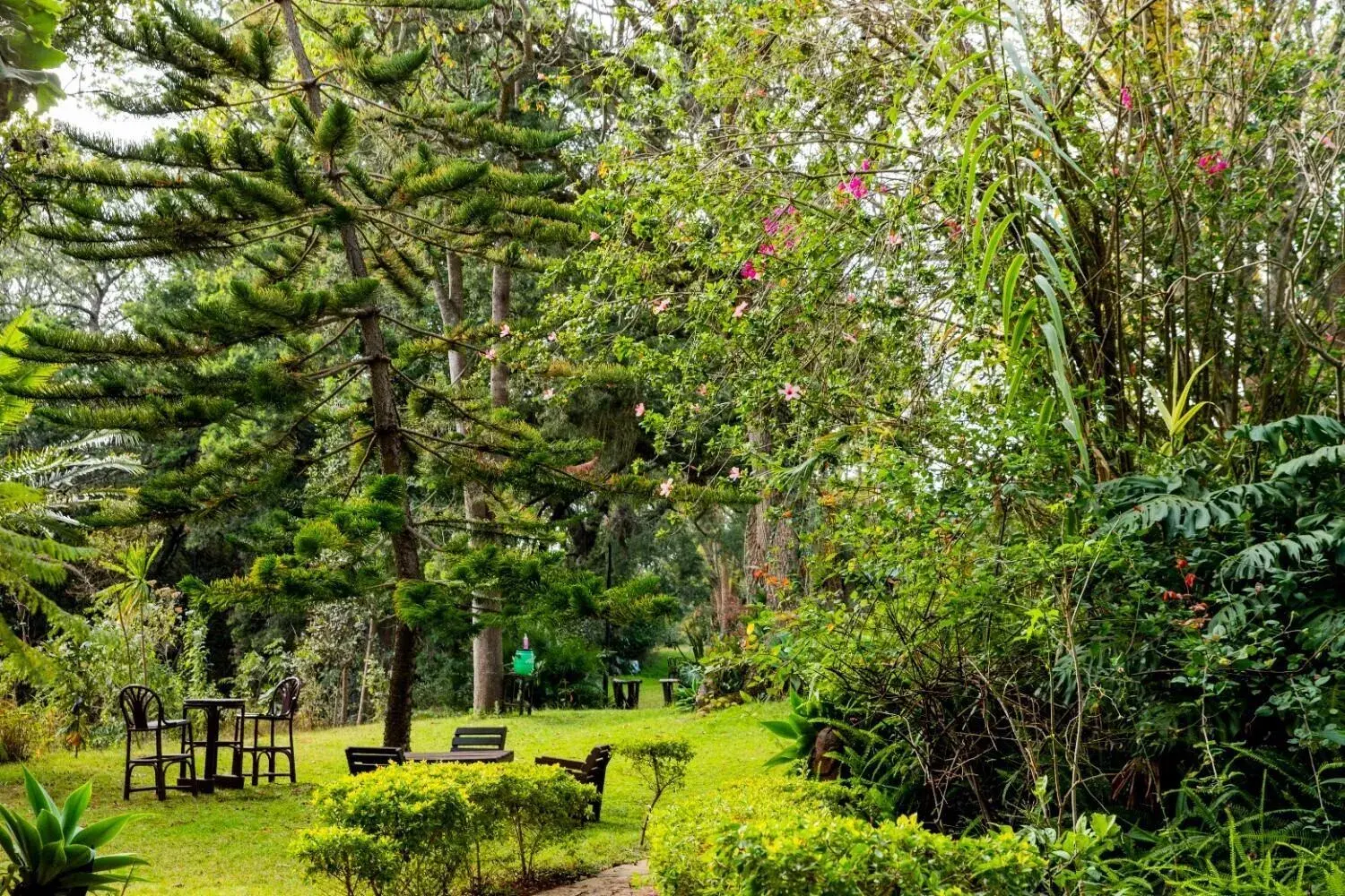 Standard Twin Room with Garden View - single occupancy in Naro Moru River Lodge Standard Twin Room with Garden View - single occupancy in Naro Moru River Lodge