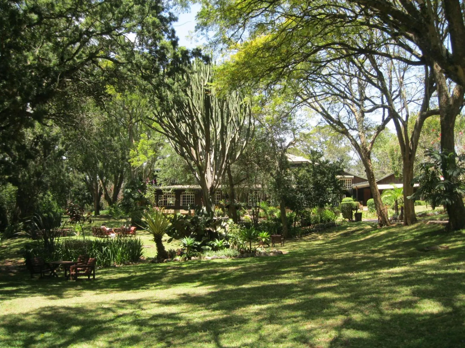 Garden in Naro Moru River Lodge