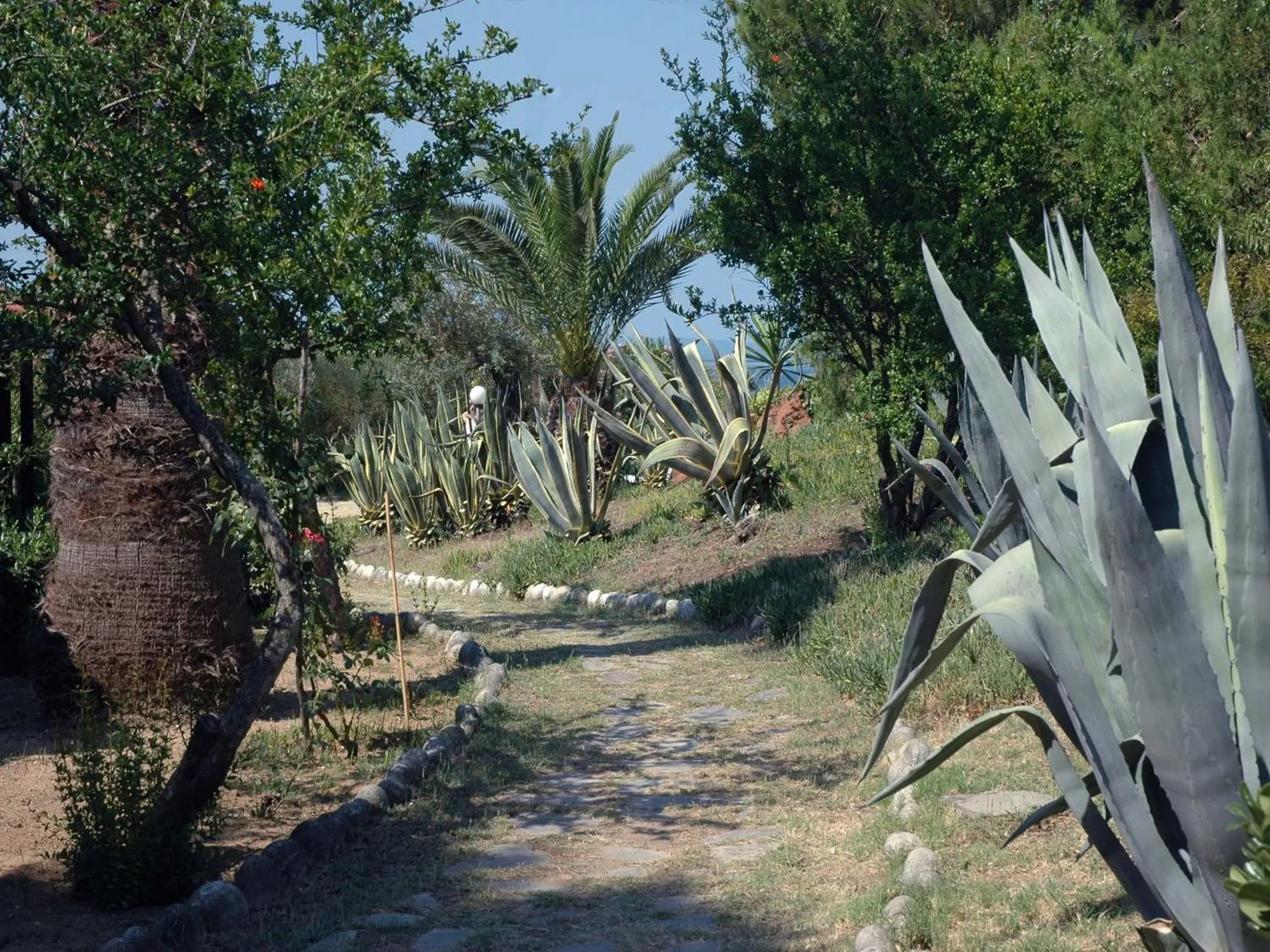 Garden in Skites Hotel Bungalows