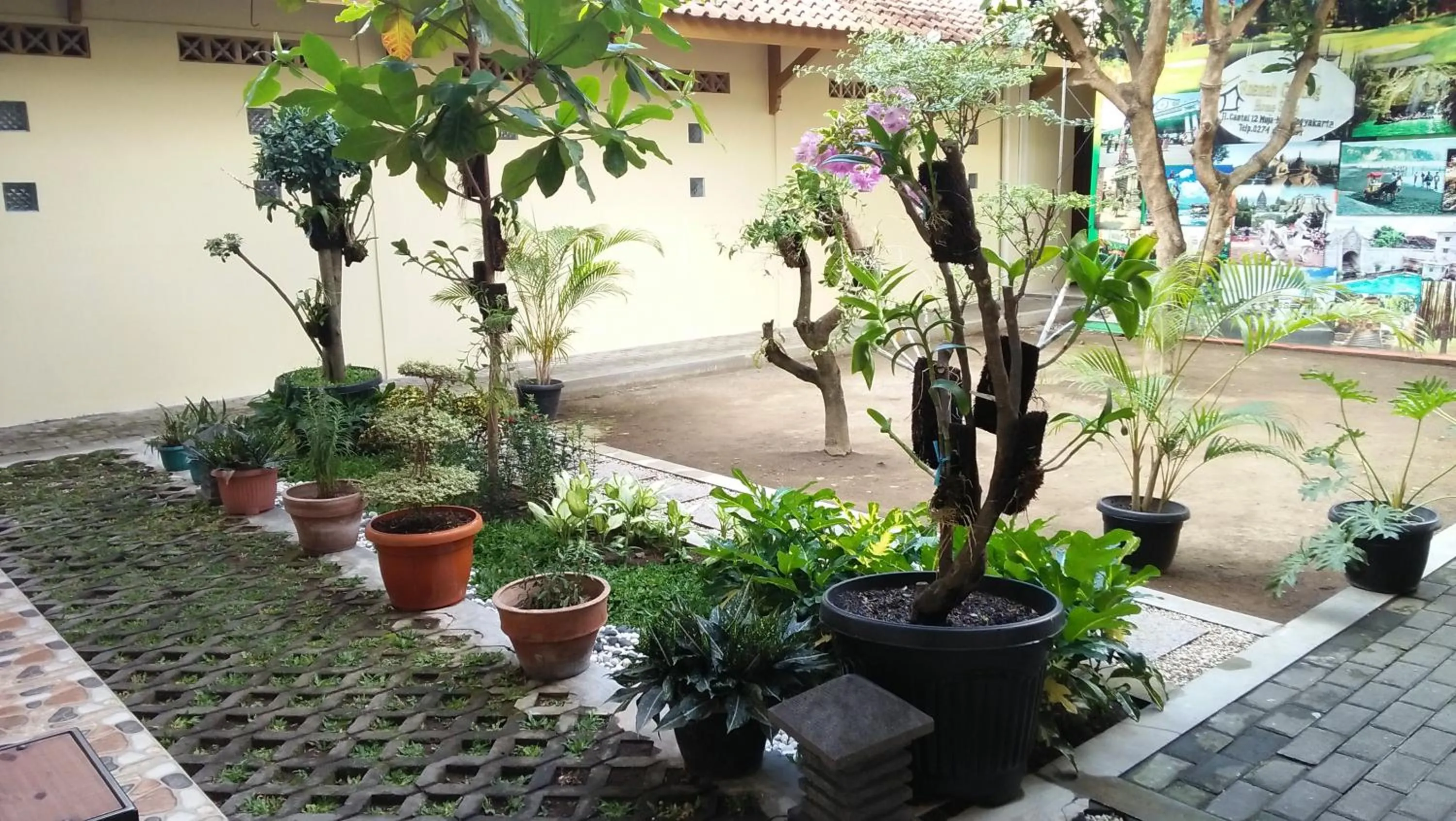 Garden in Roemah Canting Homestay