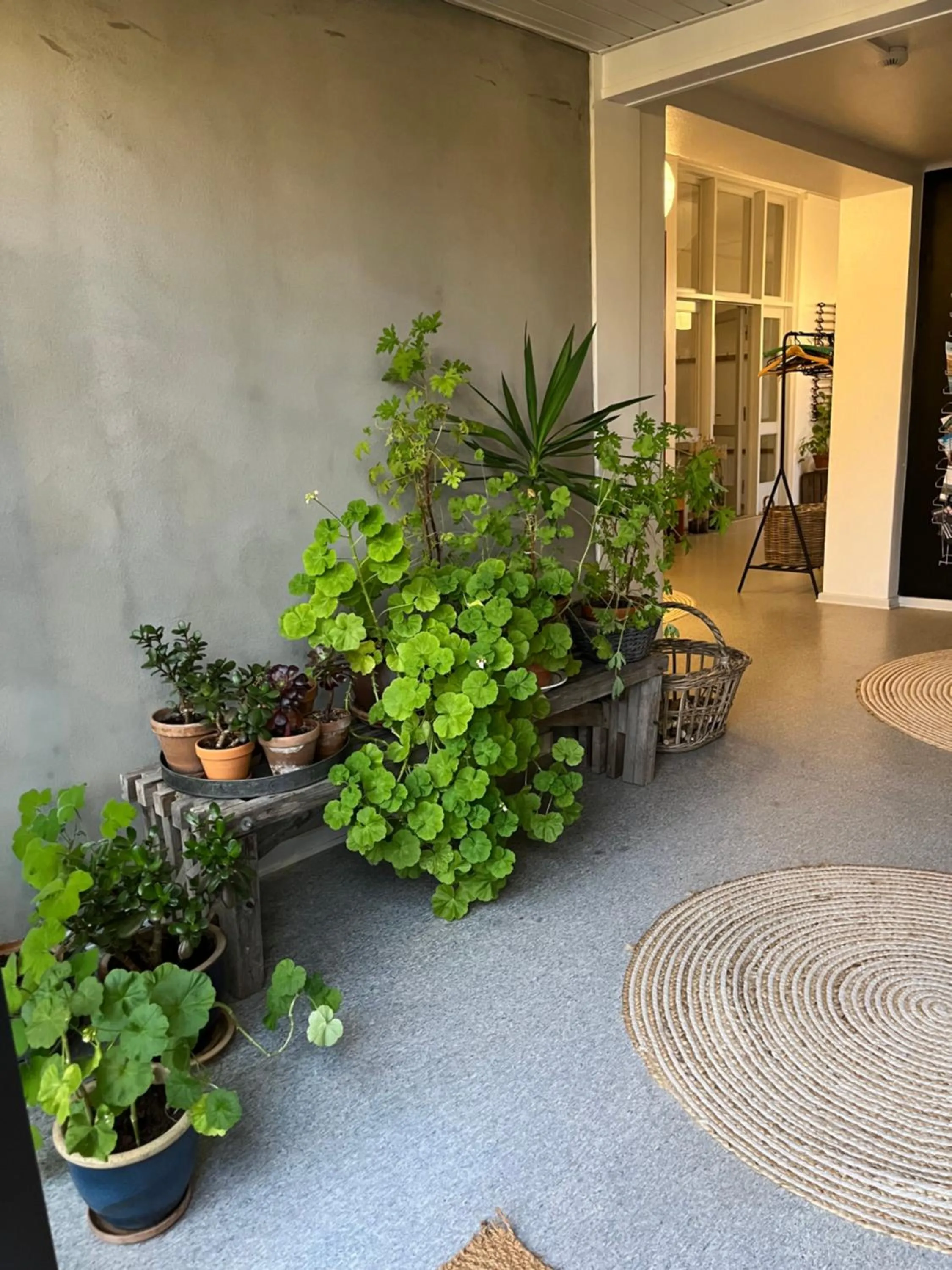 Room 9 -Hawkraft kulturhotel