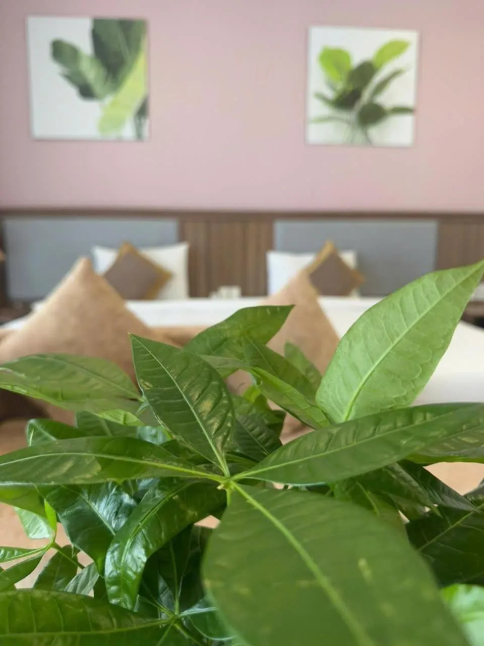 Bed in ATP Galaxy Hotel & Apartment Danang