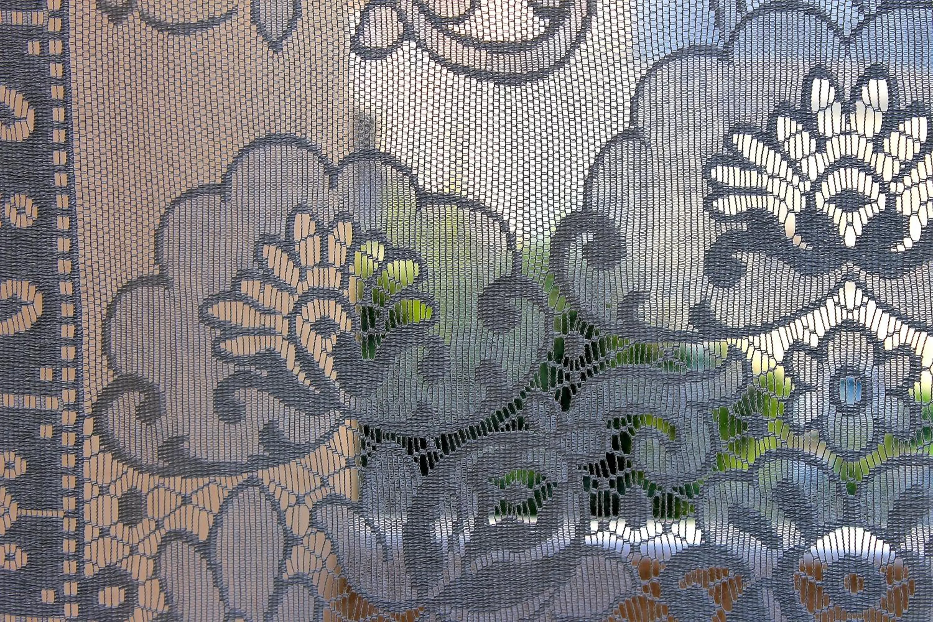 Balcony/Terrace in Piazza Argento