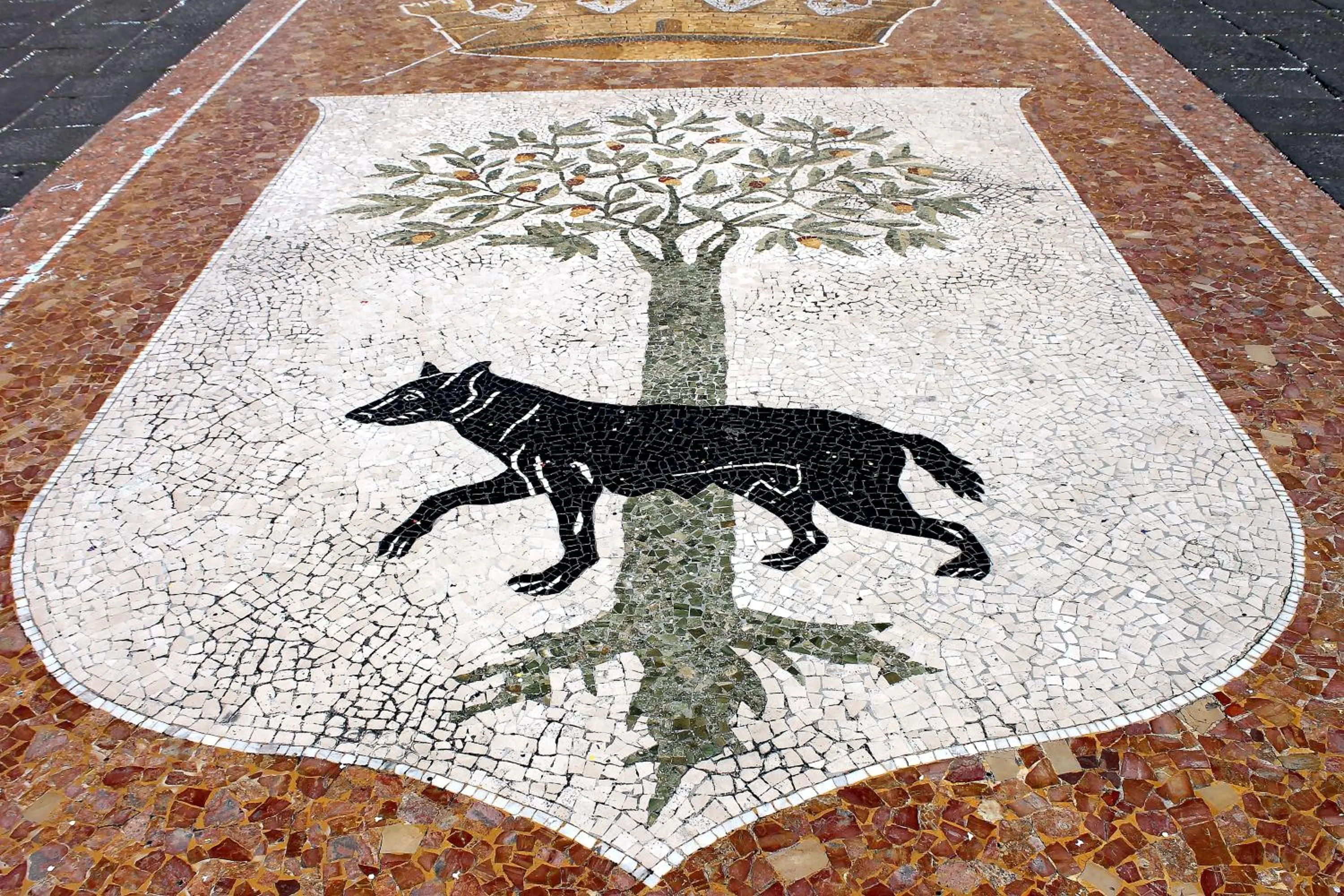 Area and facilities in Piazza Argento