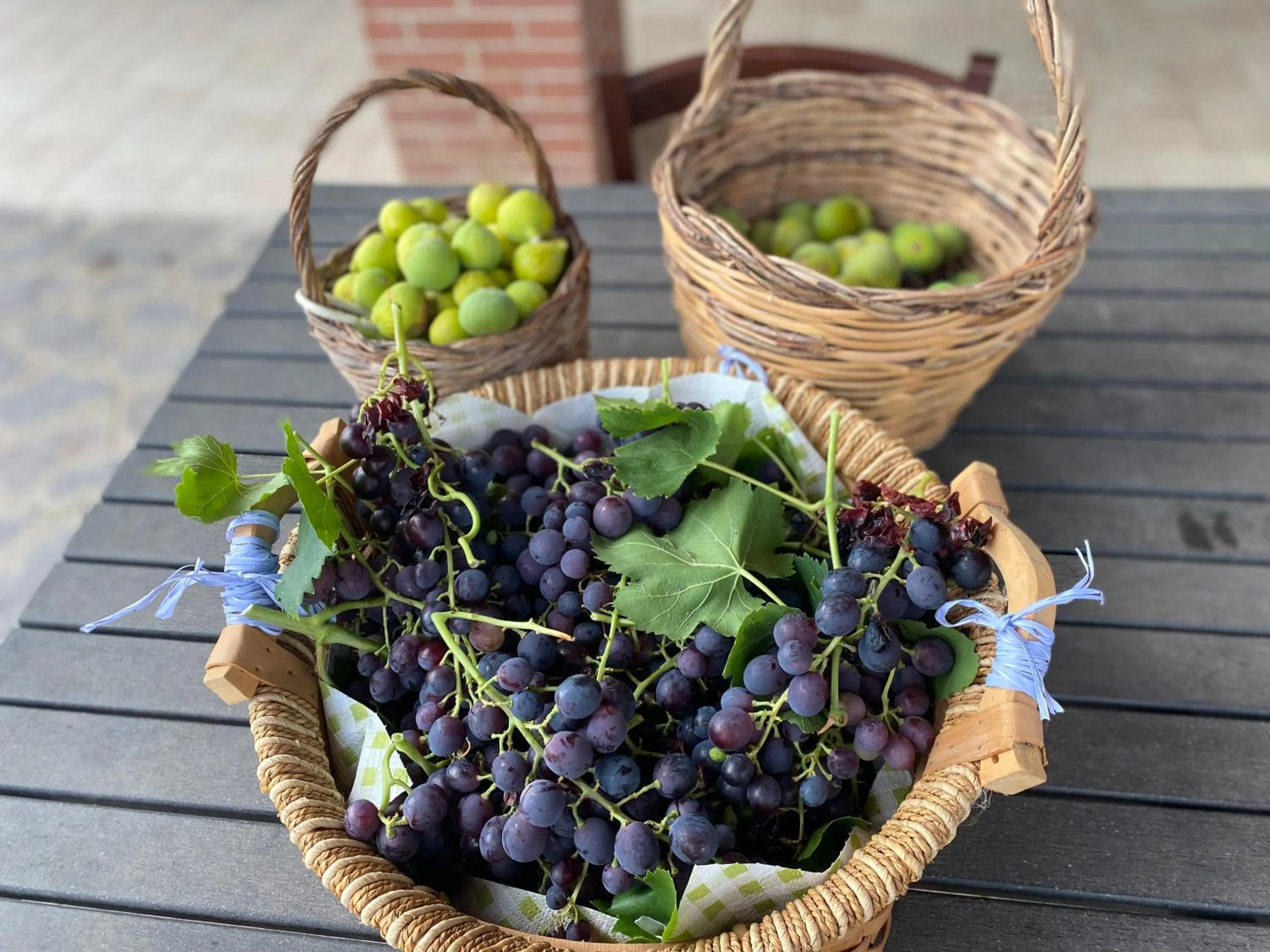 Summer in Villa Vittoria