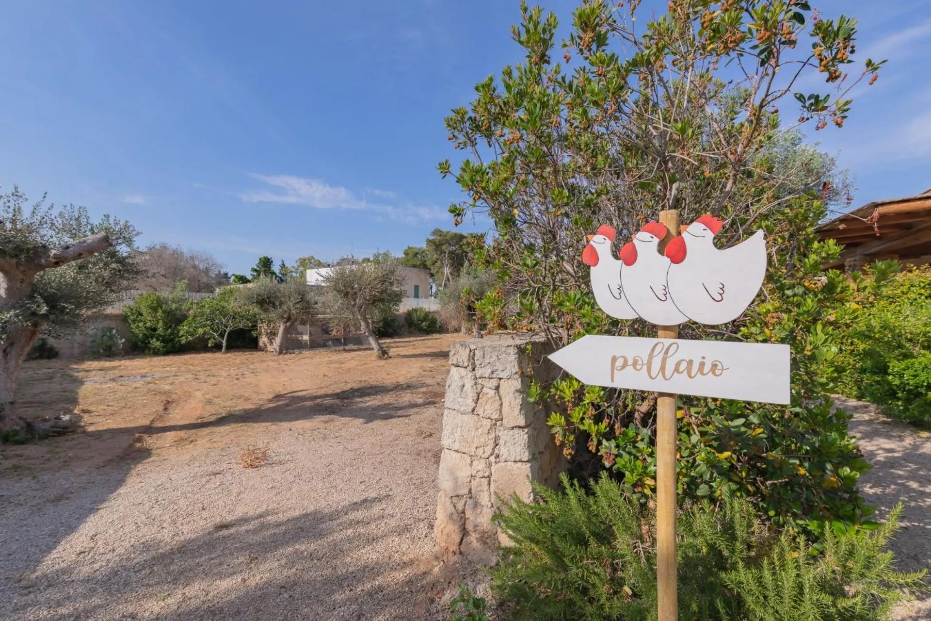 Garden in Cava Li Santi Residence
