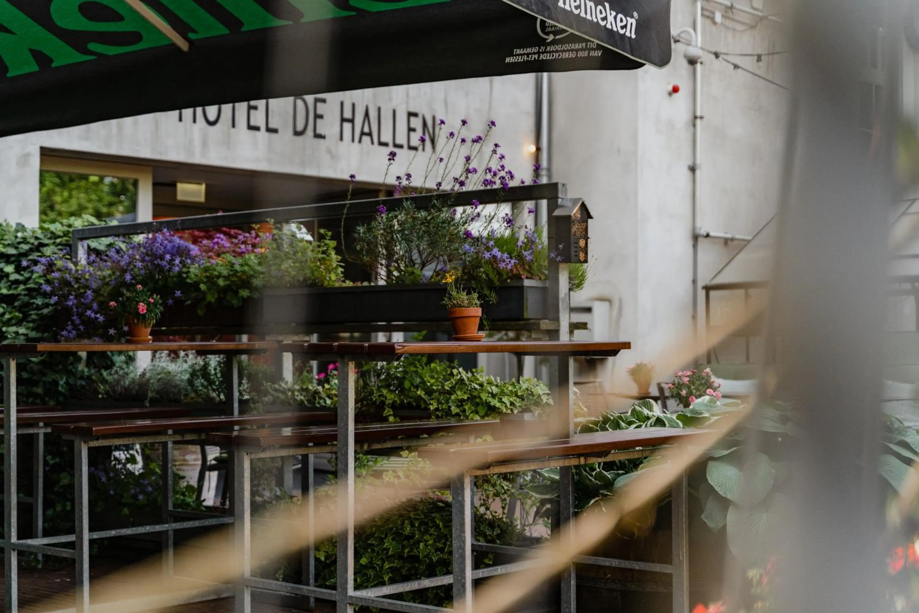 Restaurant/places to eat in Hotel De Hallen